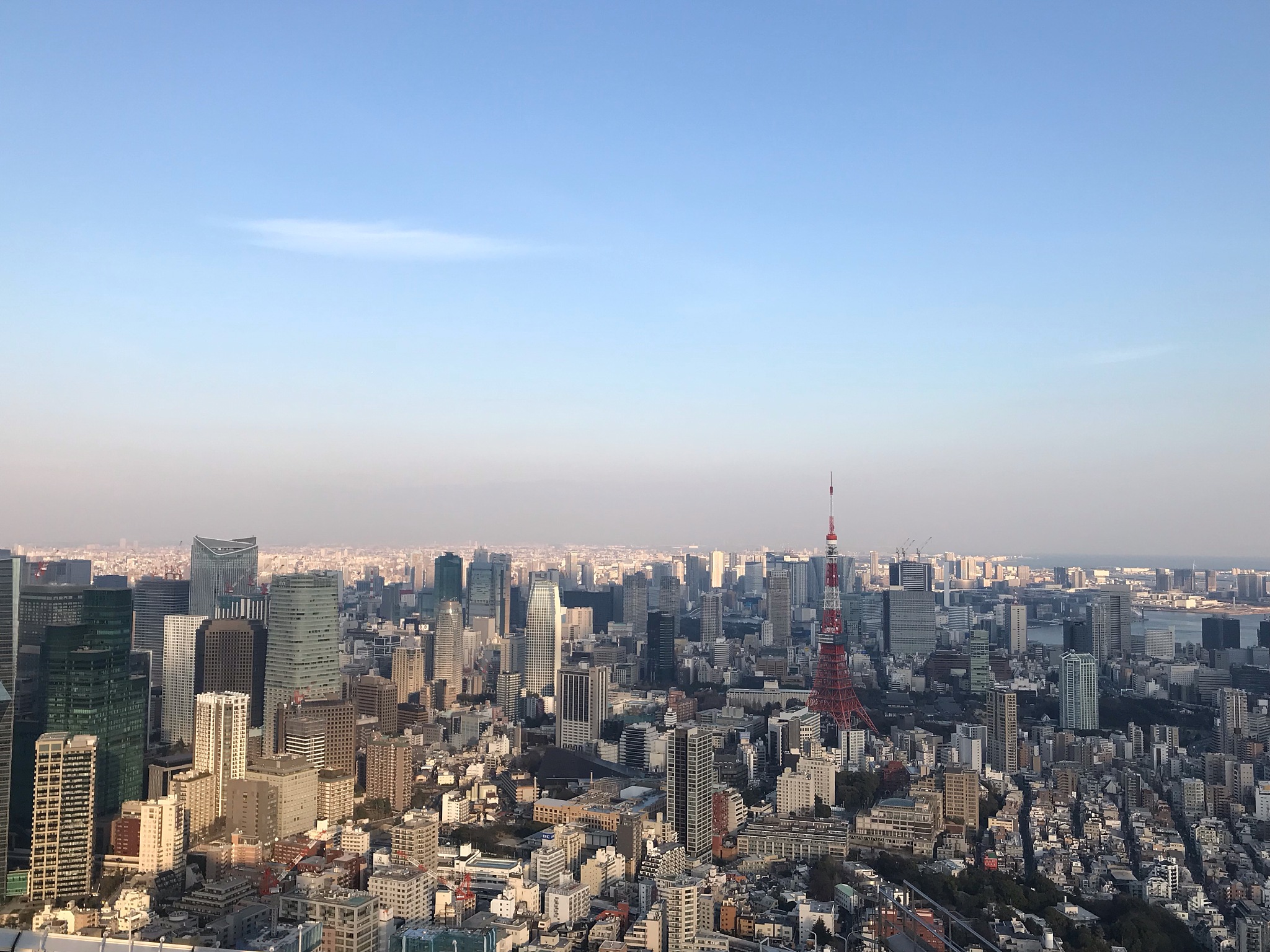 aerial view of buildings in city