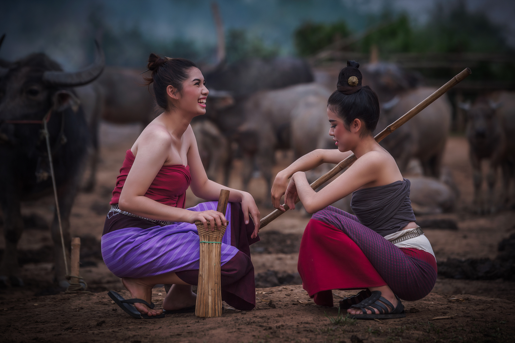 two asian women dressed in national costume with buffalo at farm
