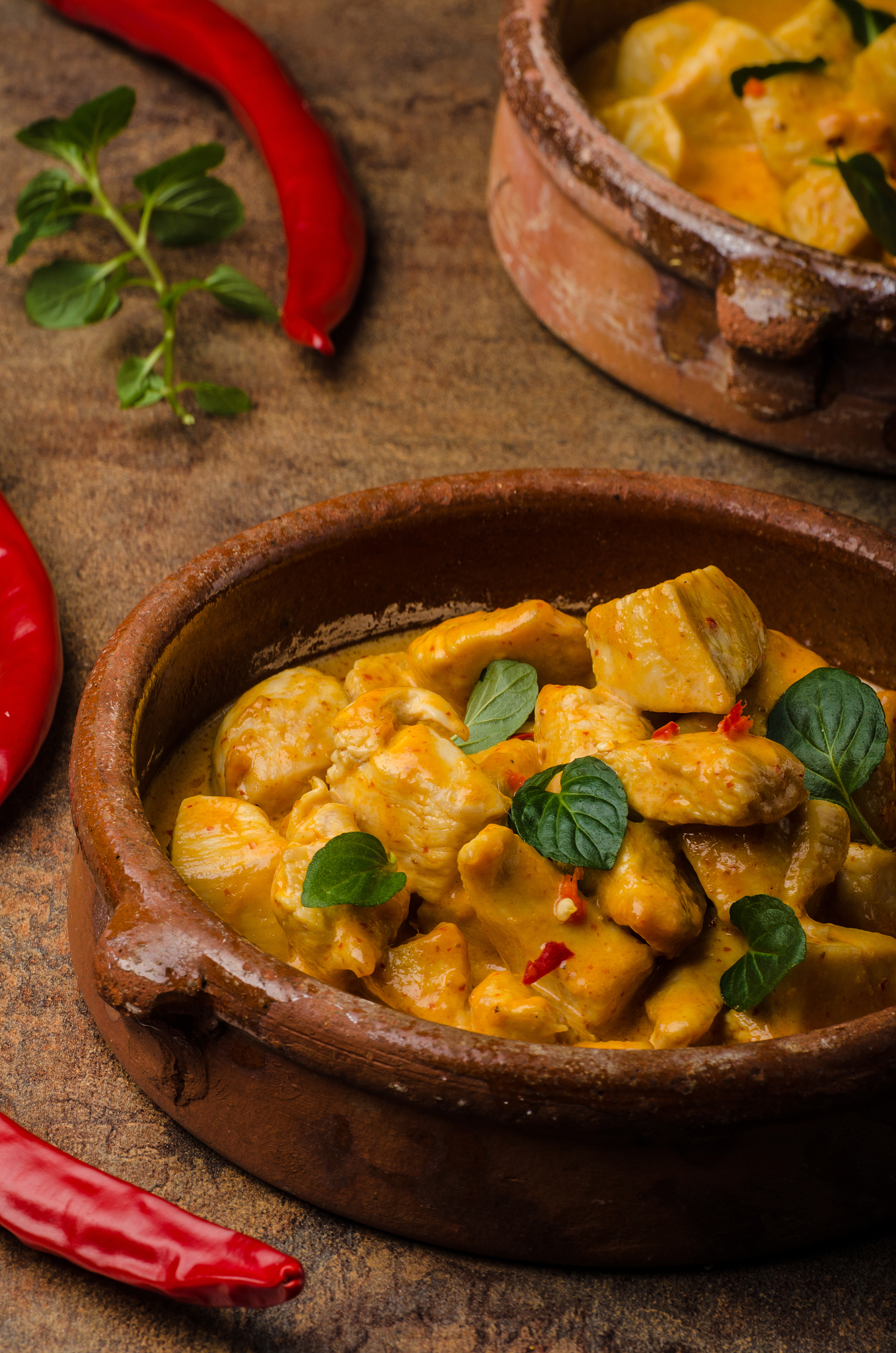 delicious chicken curry