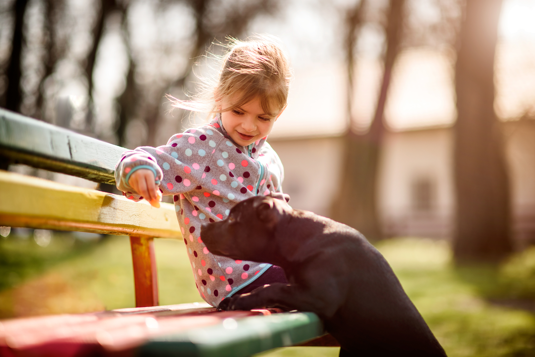 girl playing with her dog
