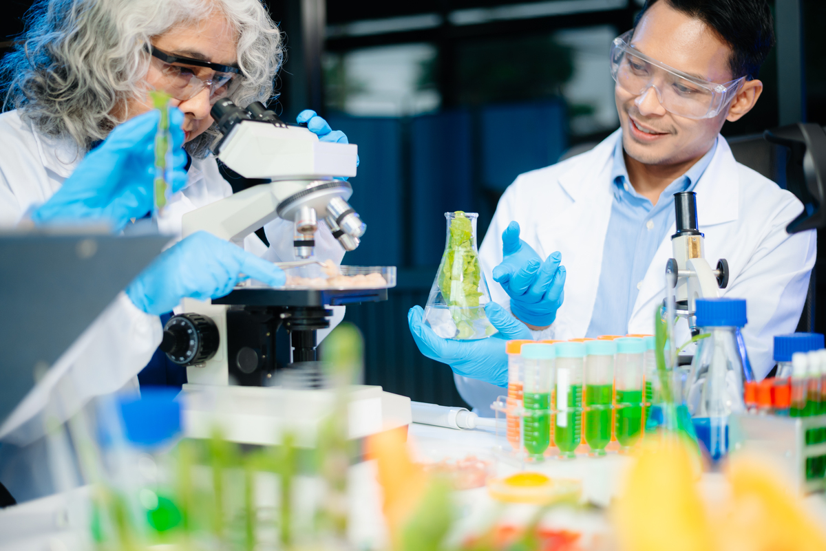 化学材料被利用的过程500字