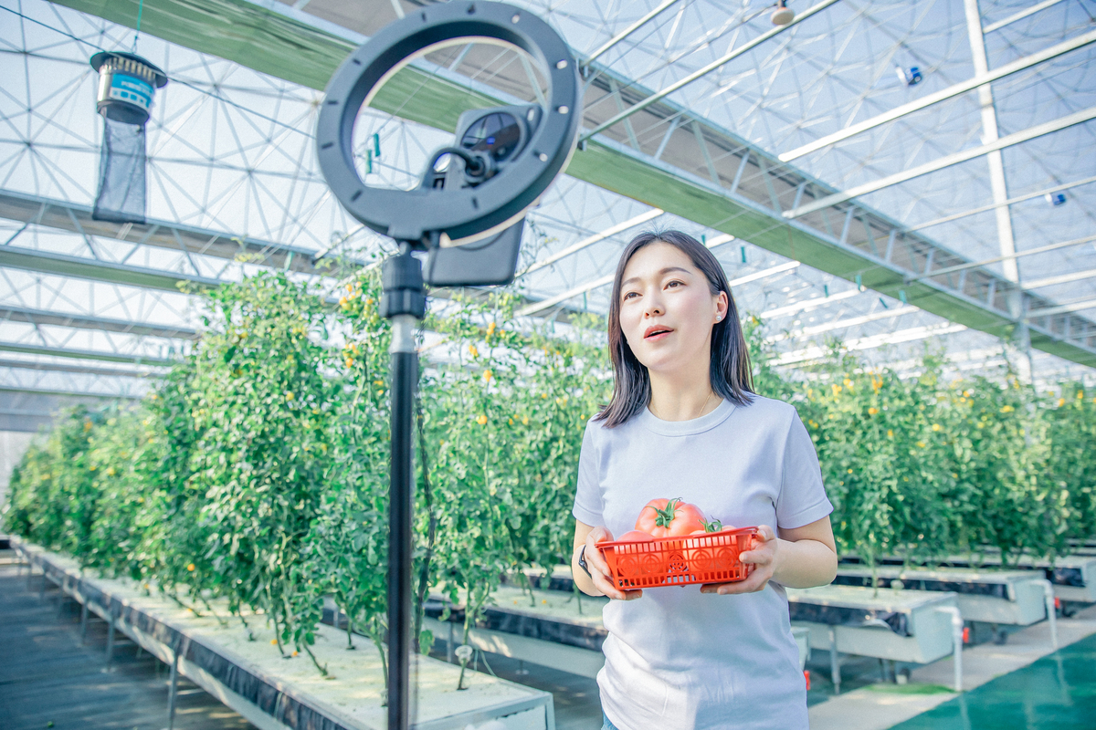 淘宝直播卖衣服话术技巧大揭秘：如何做直播带货高手？