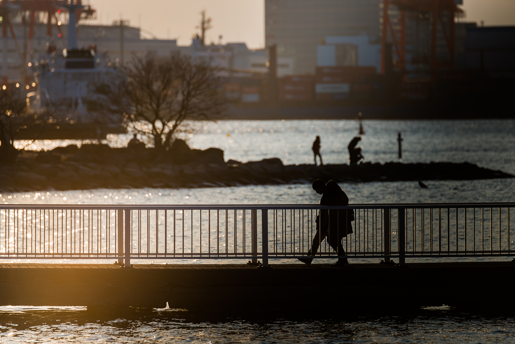 用镜头留住美好瞬间：摄影带给我们的感动与成长