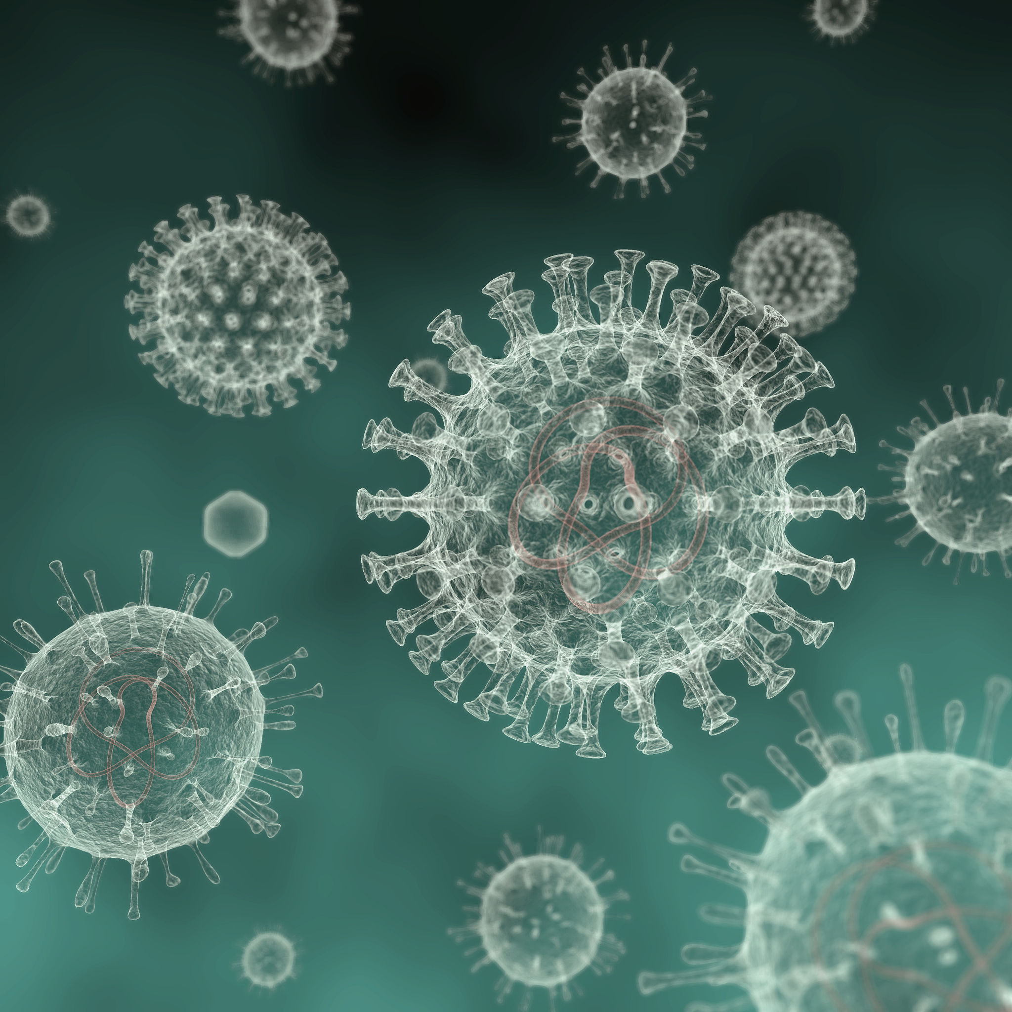 CELLULAR MICROBIOLOGY期刊研究范围详细介绍