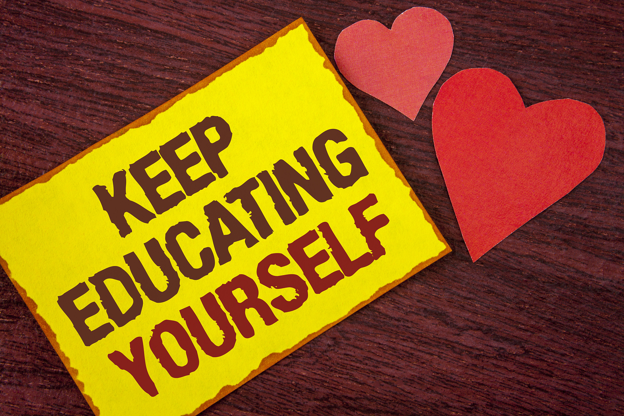 飞行员晋升之路：从执照到机长，你需要哪些能力？