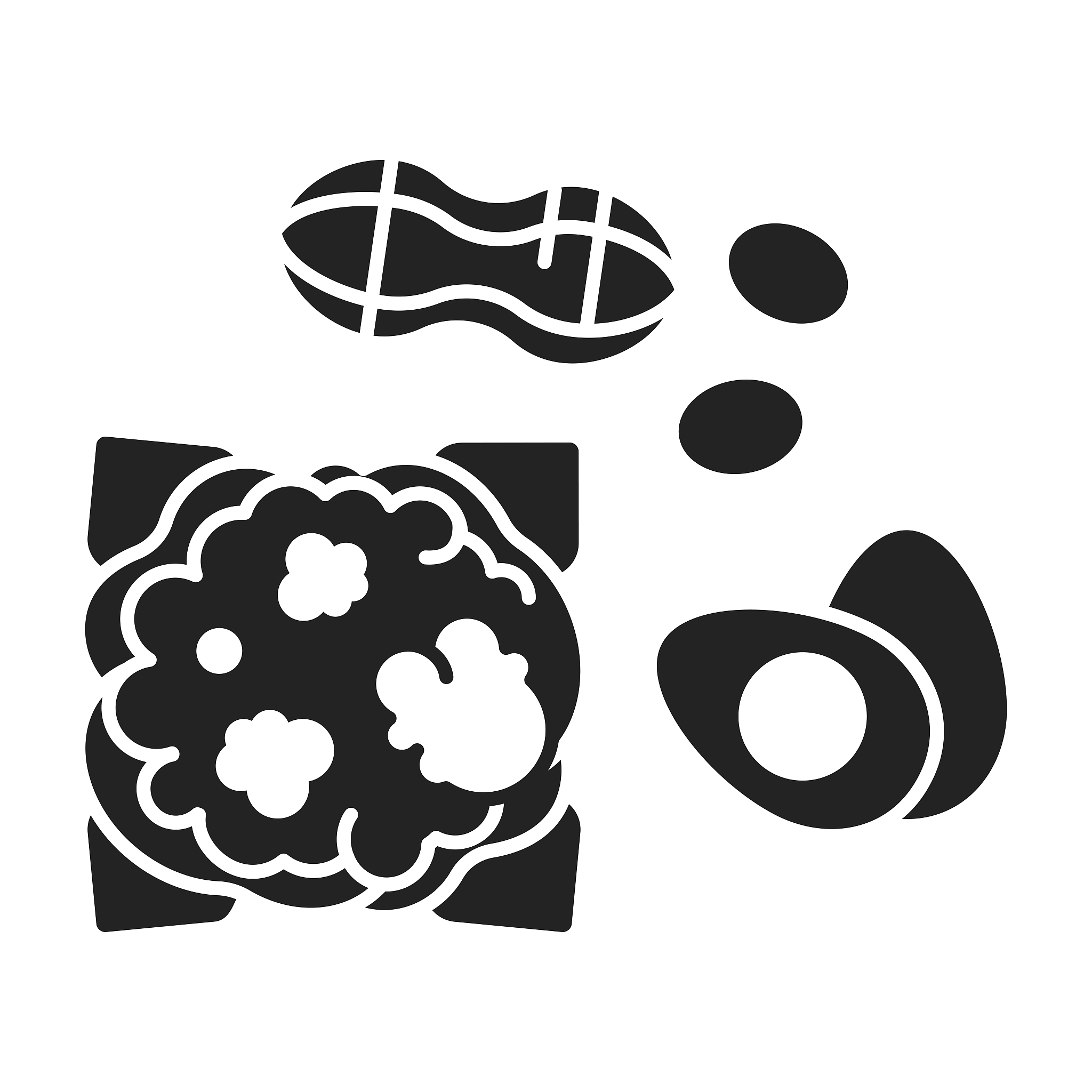 沙琪果有什么功效，