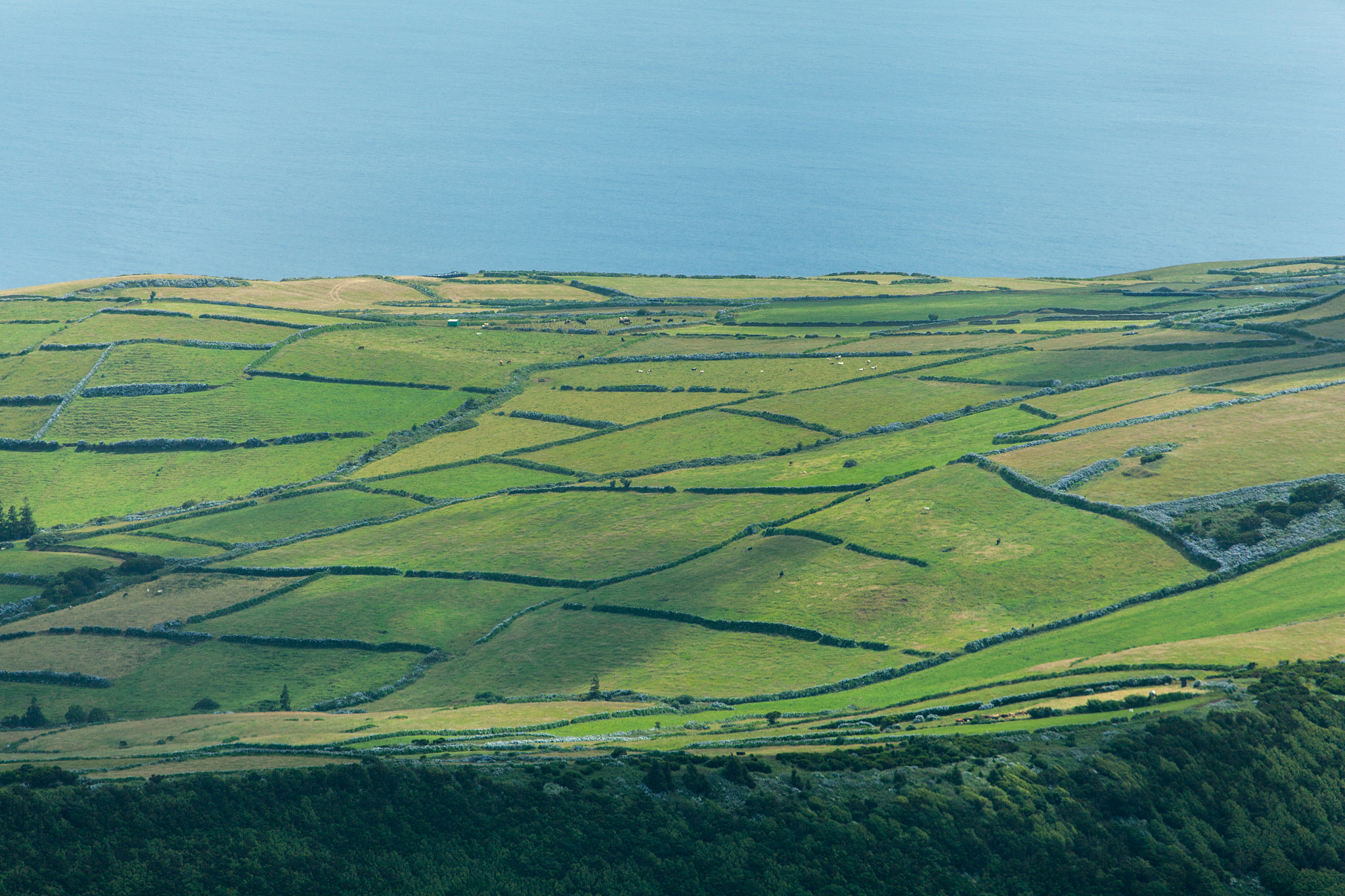 landscape on faial island
