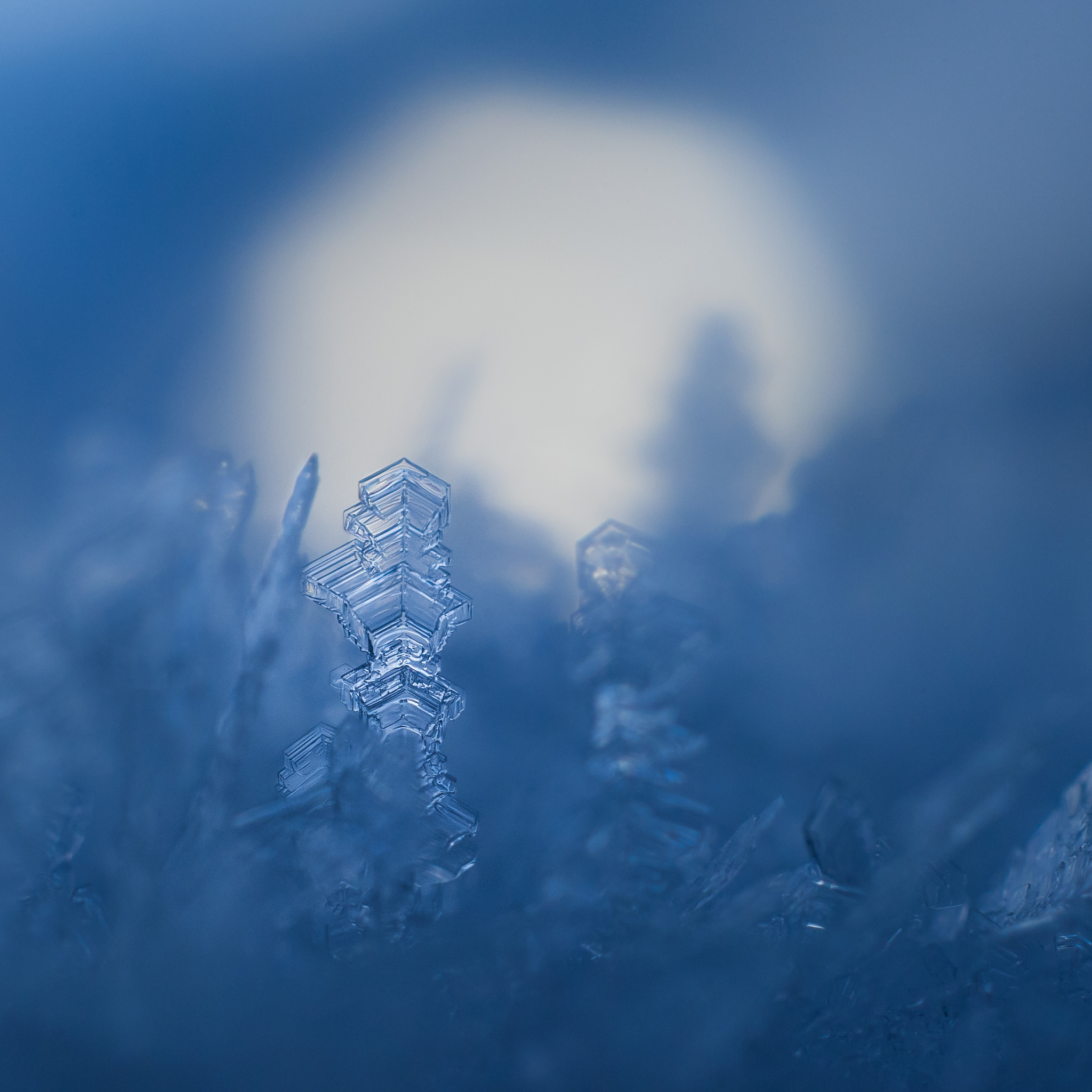 阴天将雪：梦幻般的银色世界