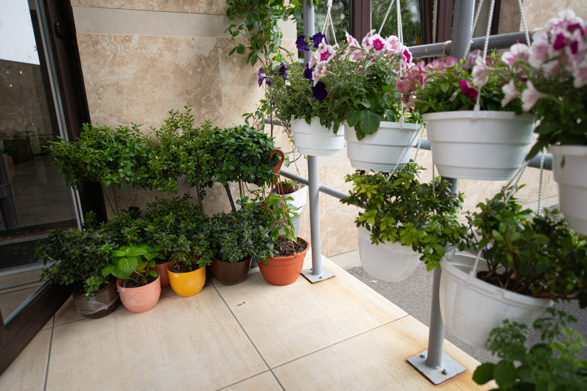 花卉室内应用：提升生活品质的六大意义