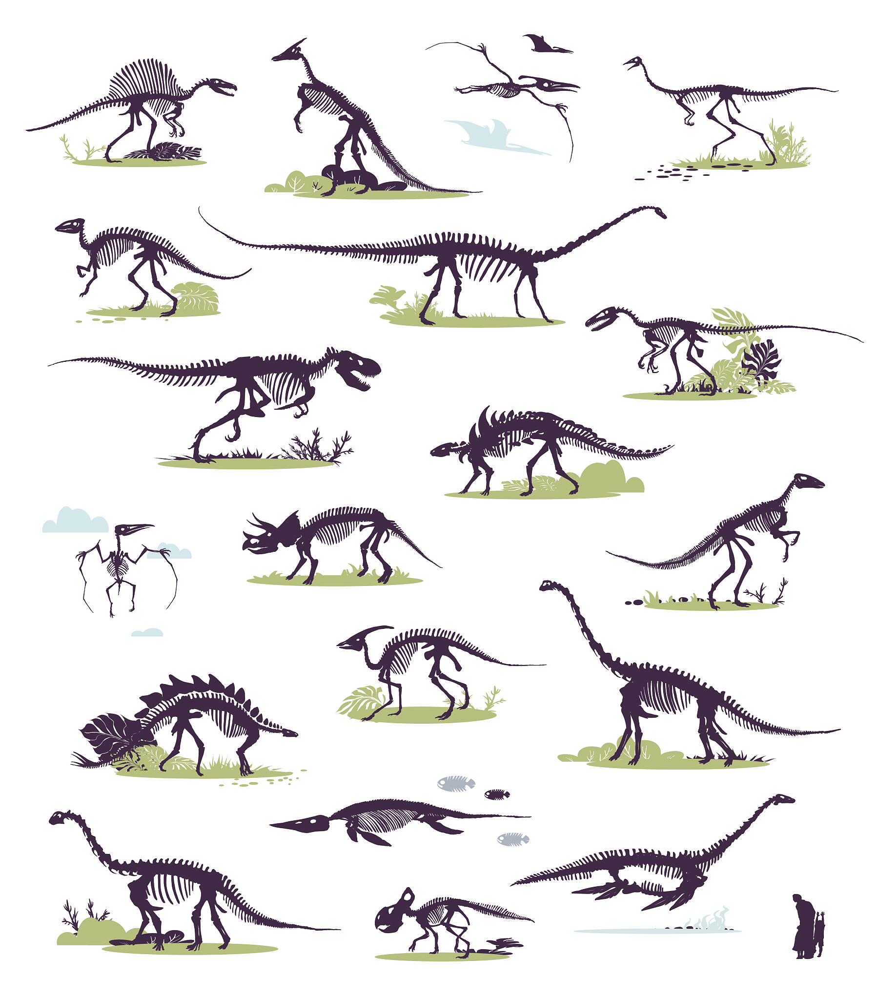 Fosil Dinosaurus di Indonesia: Penemuan dan Spesies