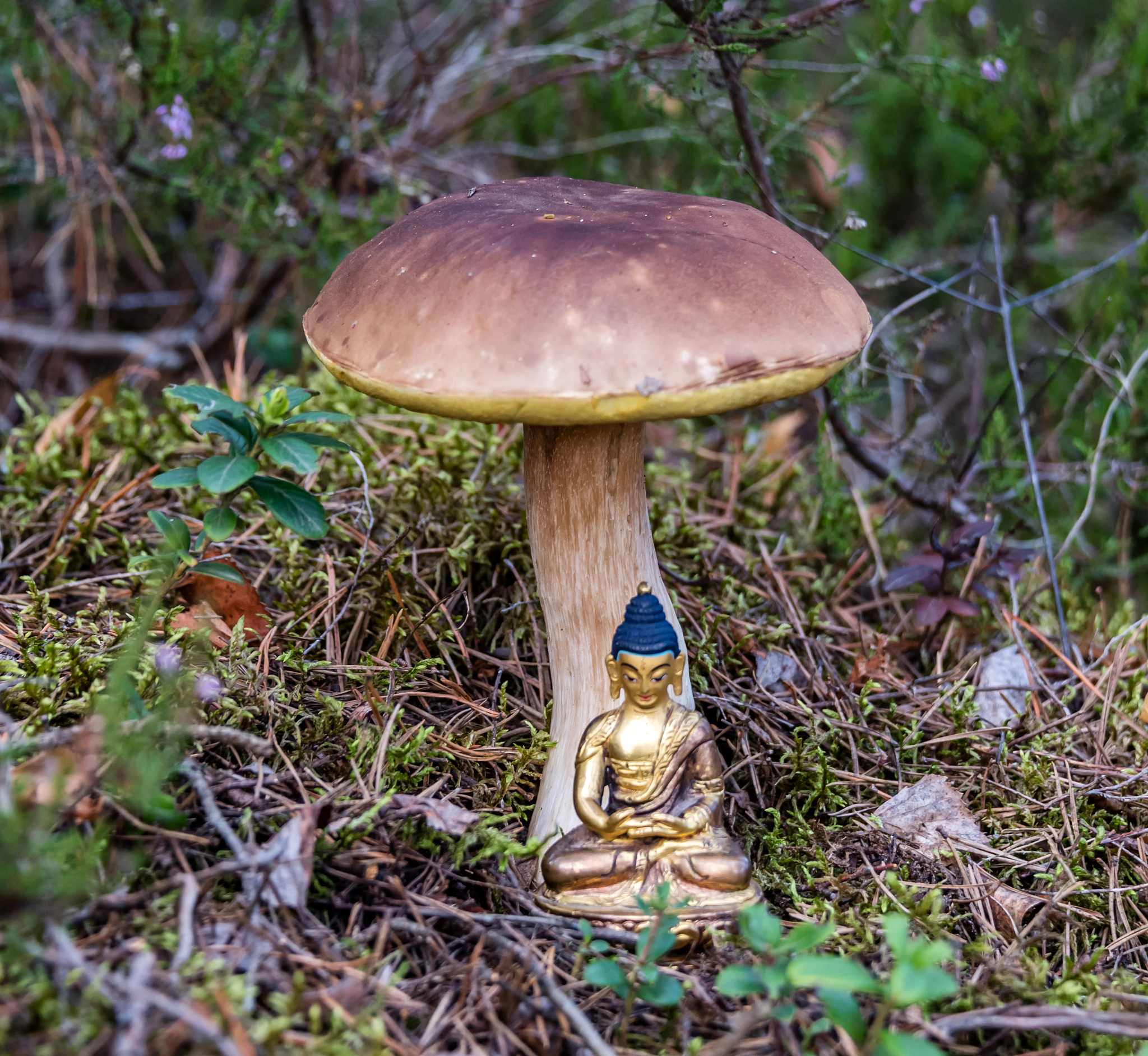 干净整洁：营造舒适环境，提升生活品质