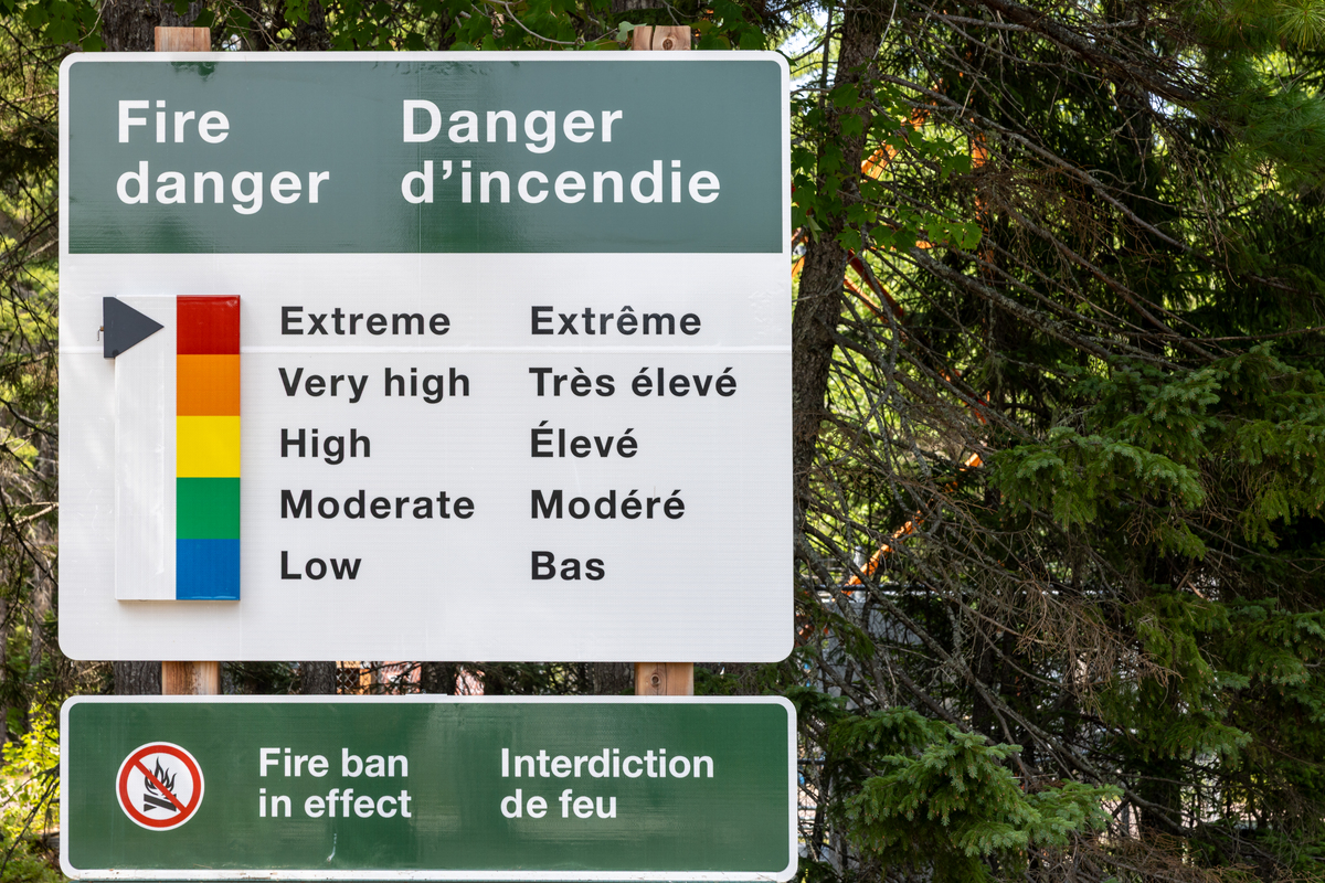 Wind's Harmony: A Poem of Connection and Peace