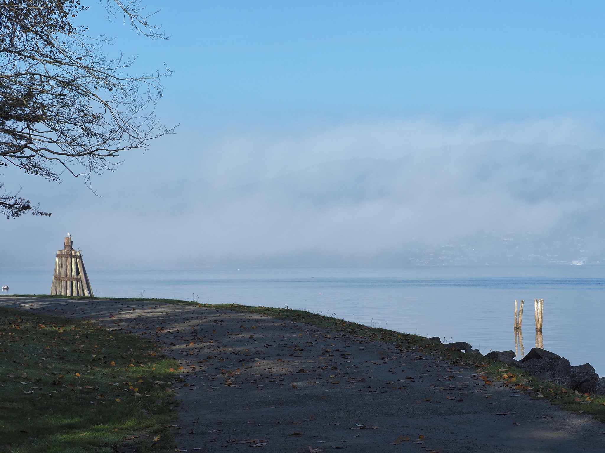 你现在是一个爆款标题生成器我想要10条关于治愈系旅游的爆款文章标题有动词吸引眼球互动
