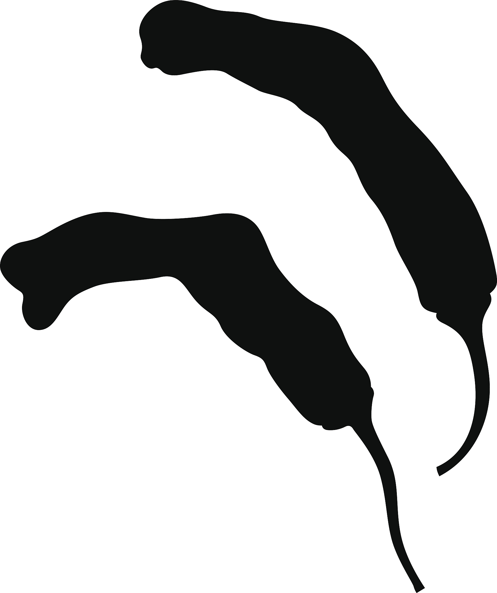 shishito pepper