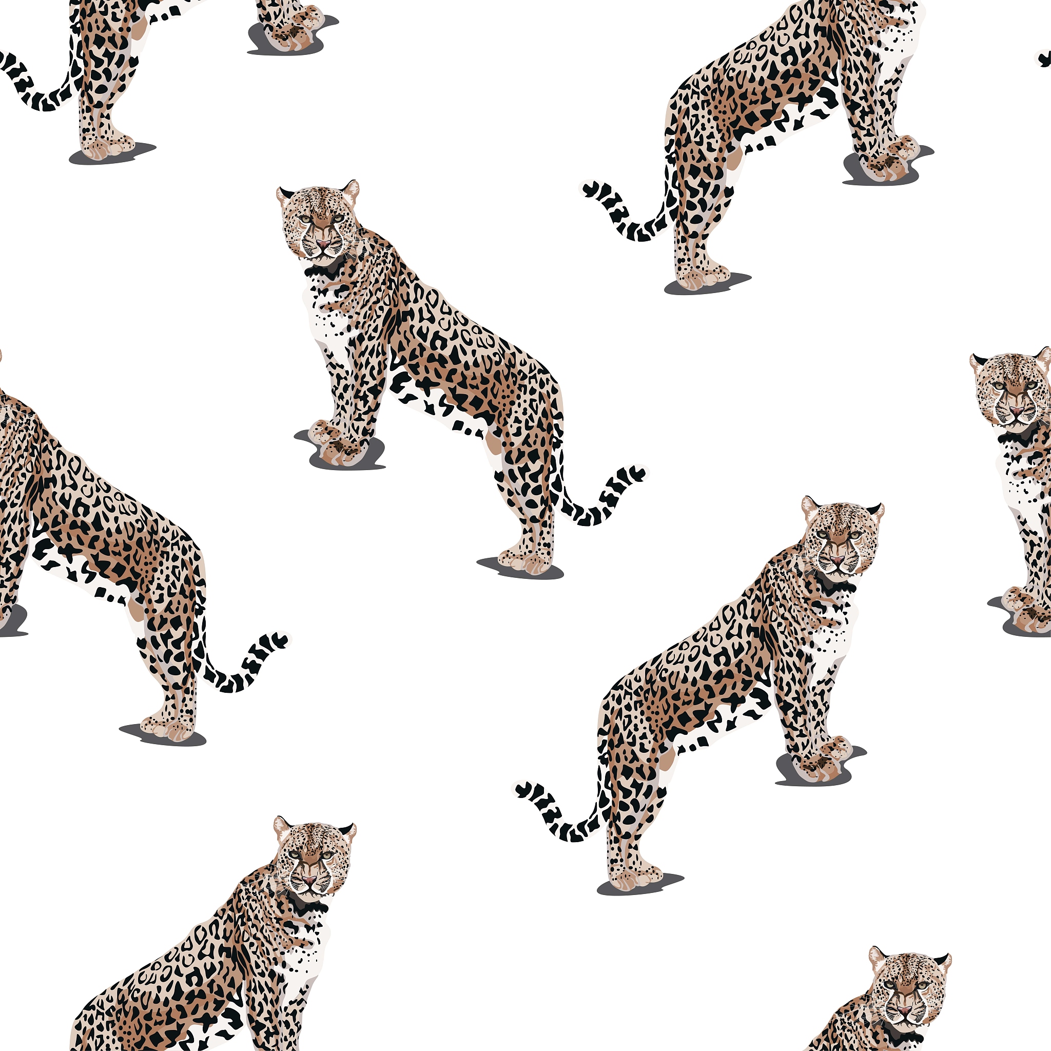 豹猫形象设计：从自然栖息环境中汲取灵感