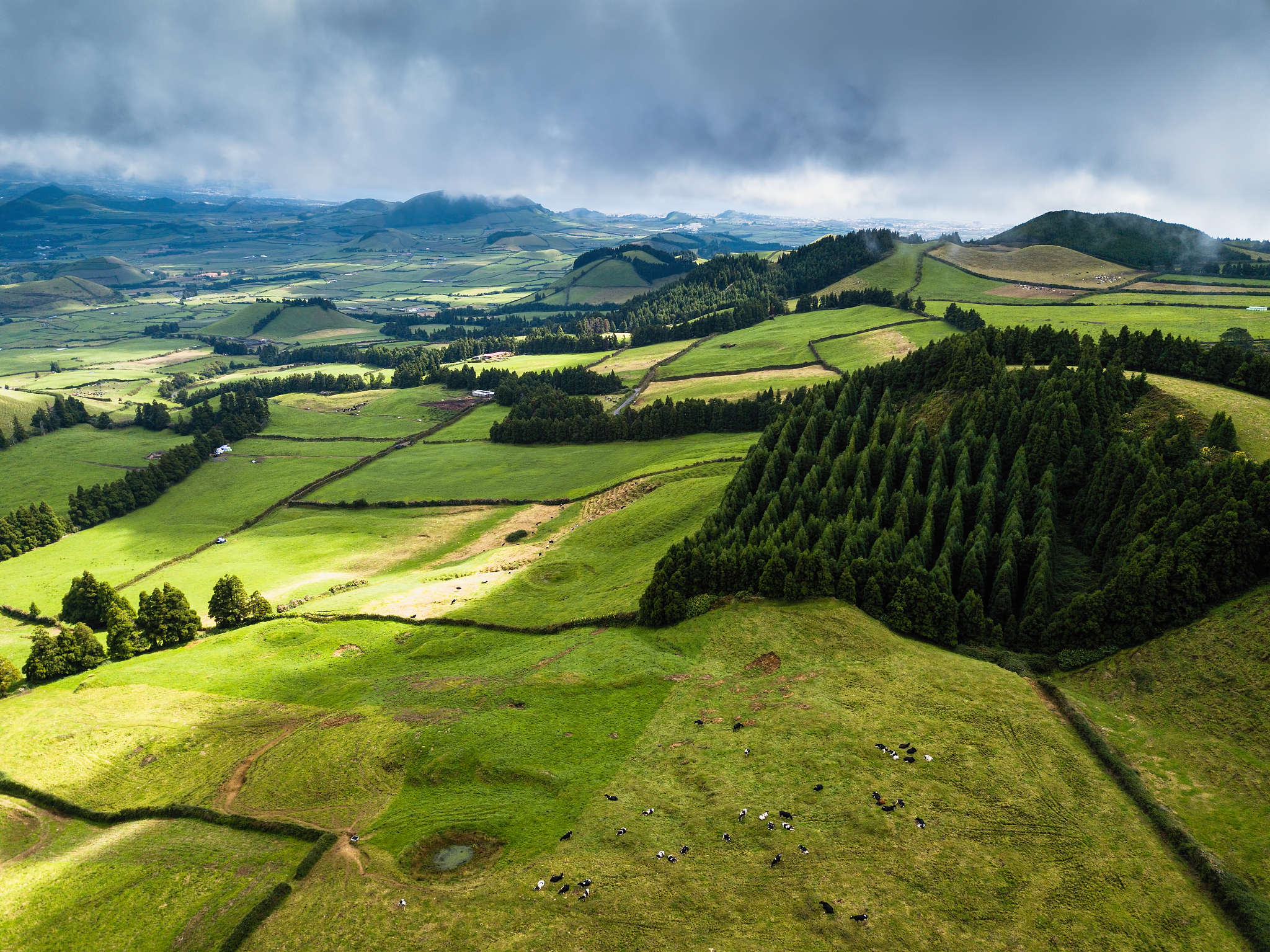 aerial view of green fields of san miguel island, coal peak view