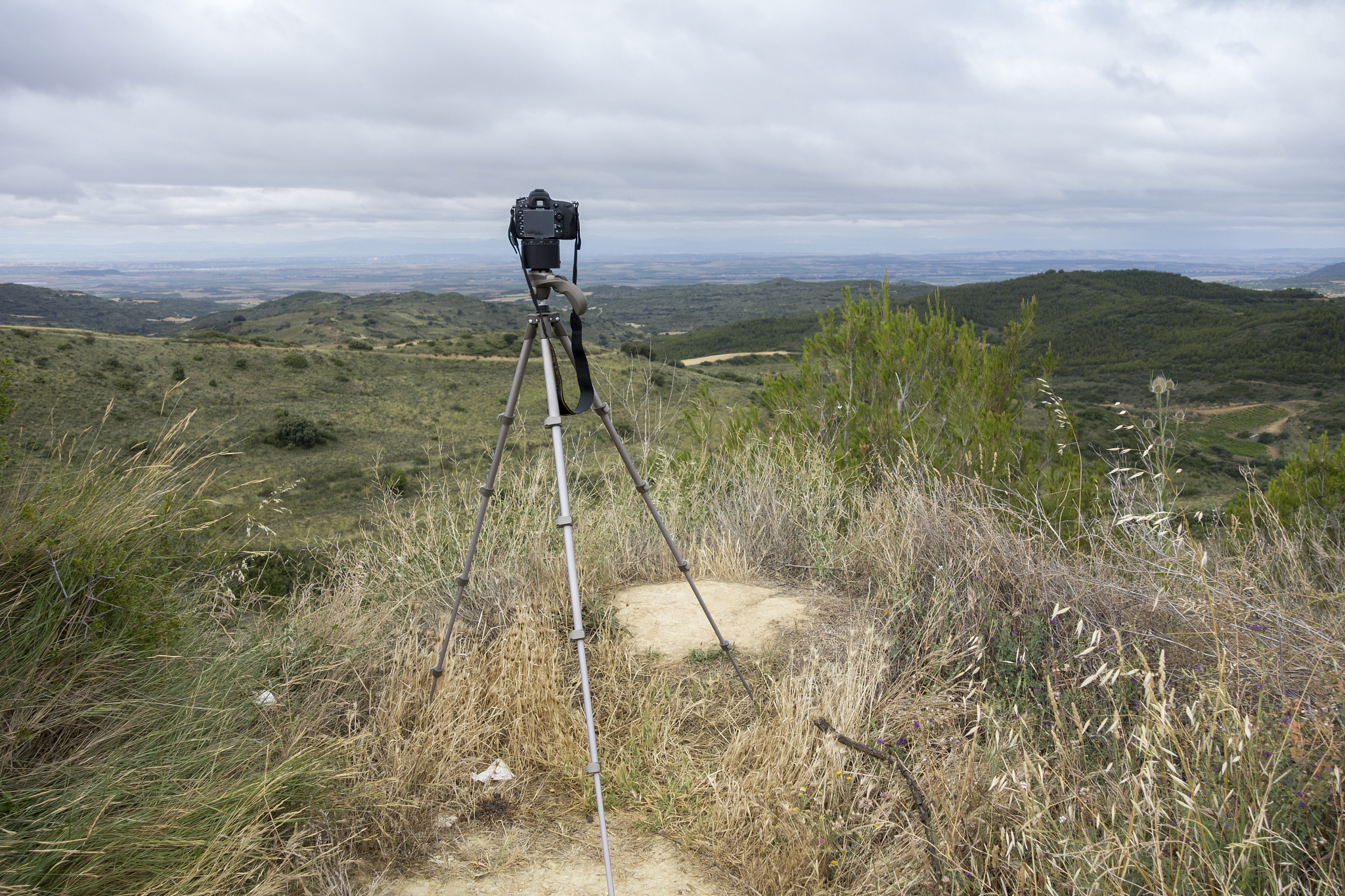 photo camera ready to take a picture of a landscape