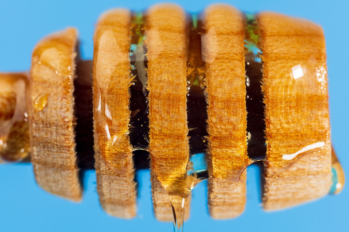 贵州省神农中医药职业学校专业设置详解：特色专业、师资力量、教学条件