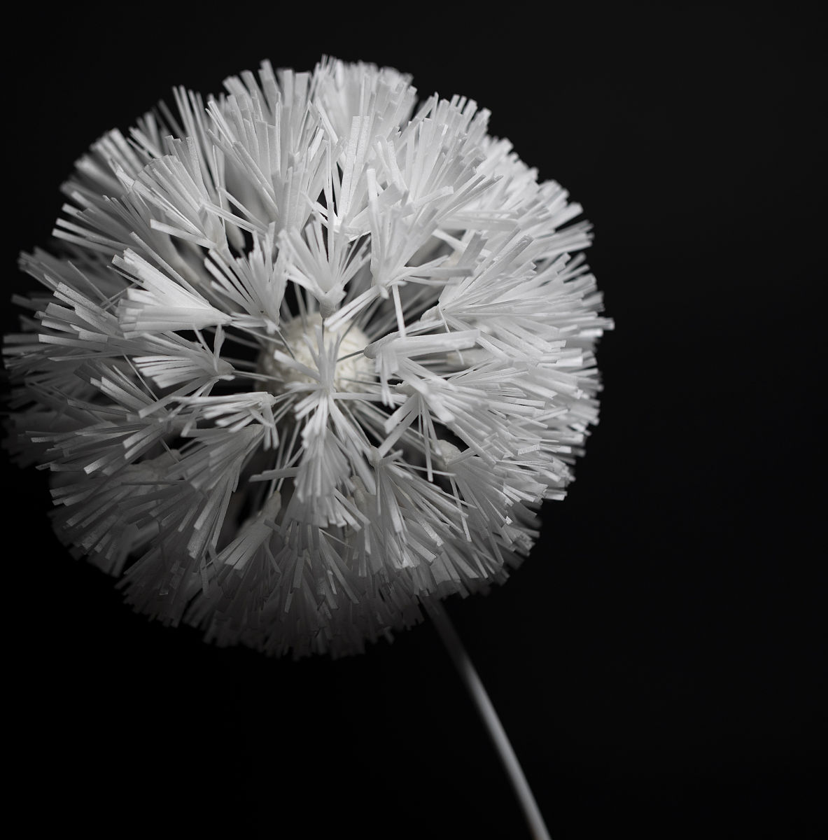 四川五月花技师学院2022年招生条件是什么