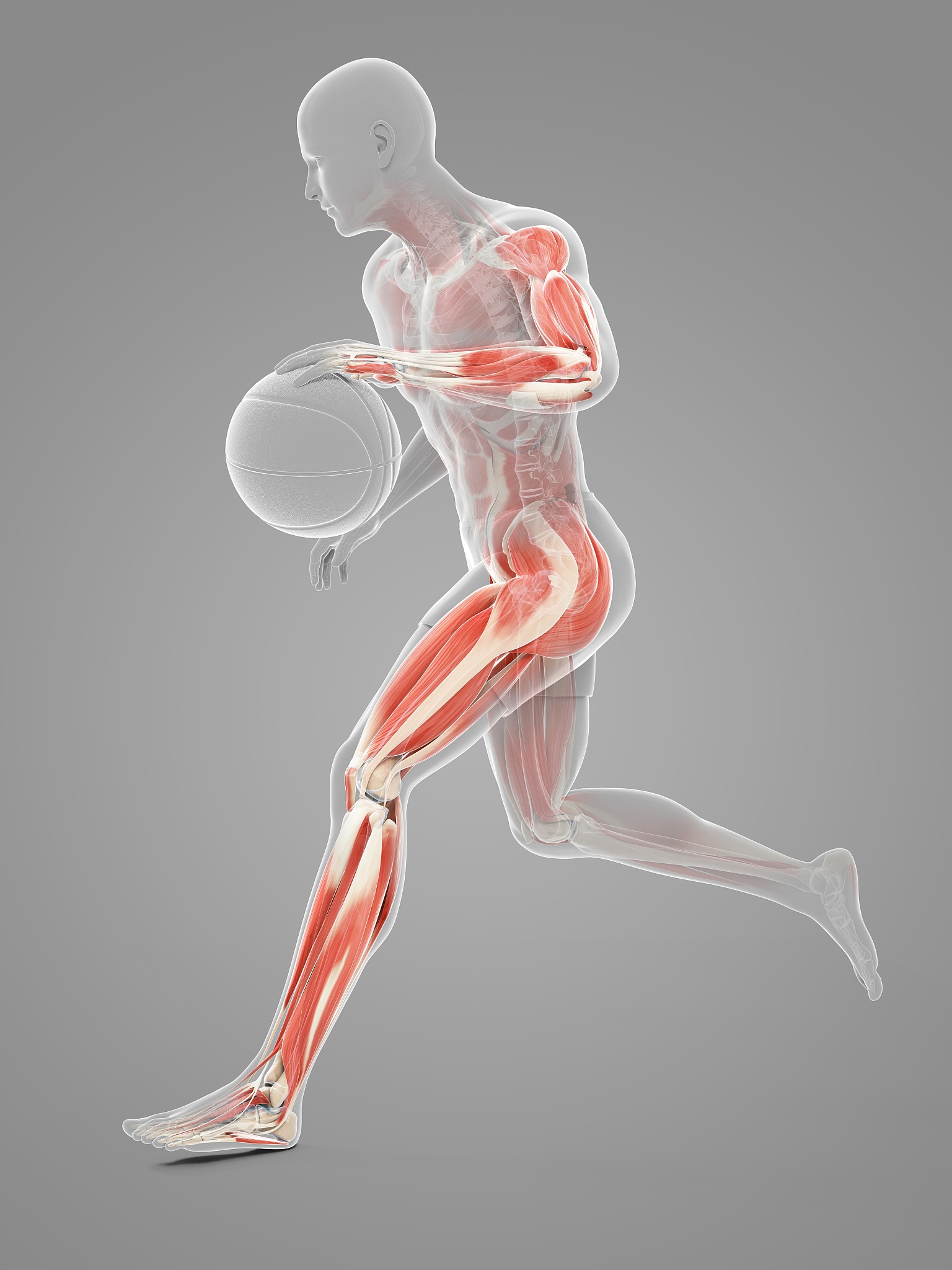 运动编程：超越肌肉孤立，关注功能性活动