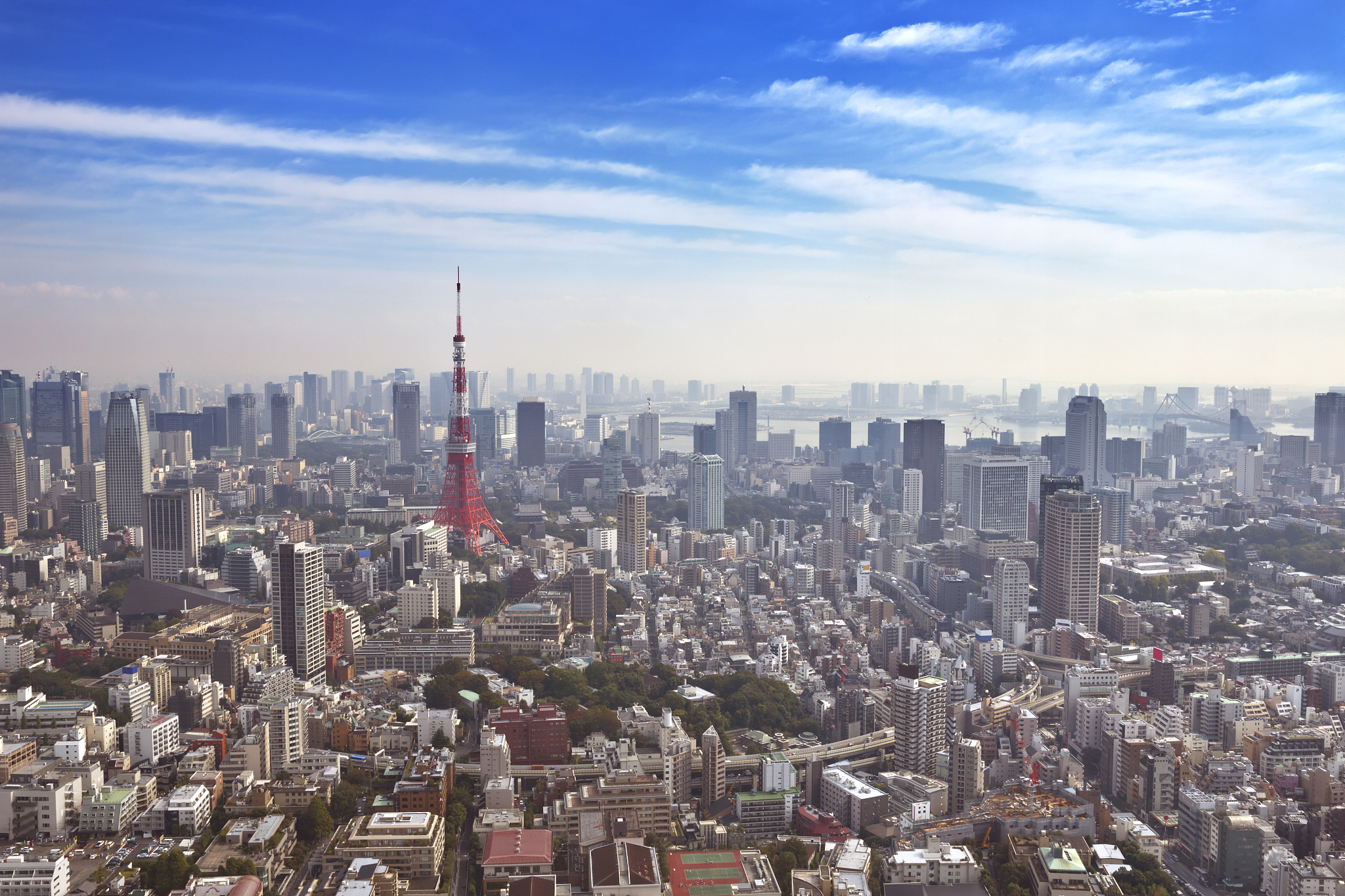 skyline of tokyo, japan with the tokyo tower, from above