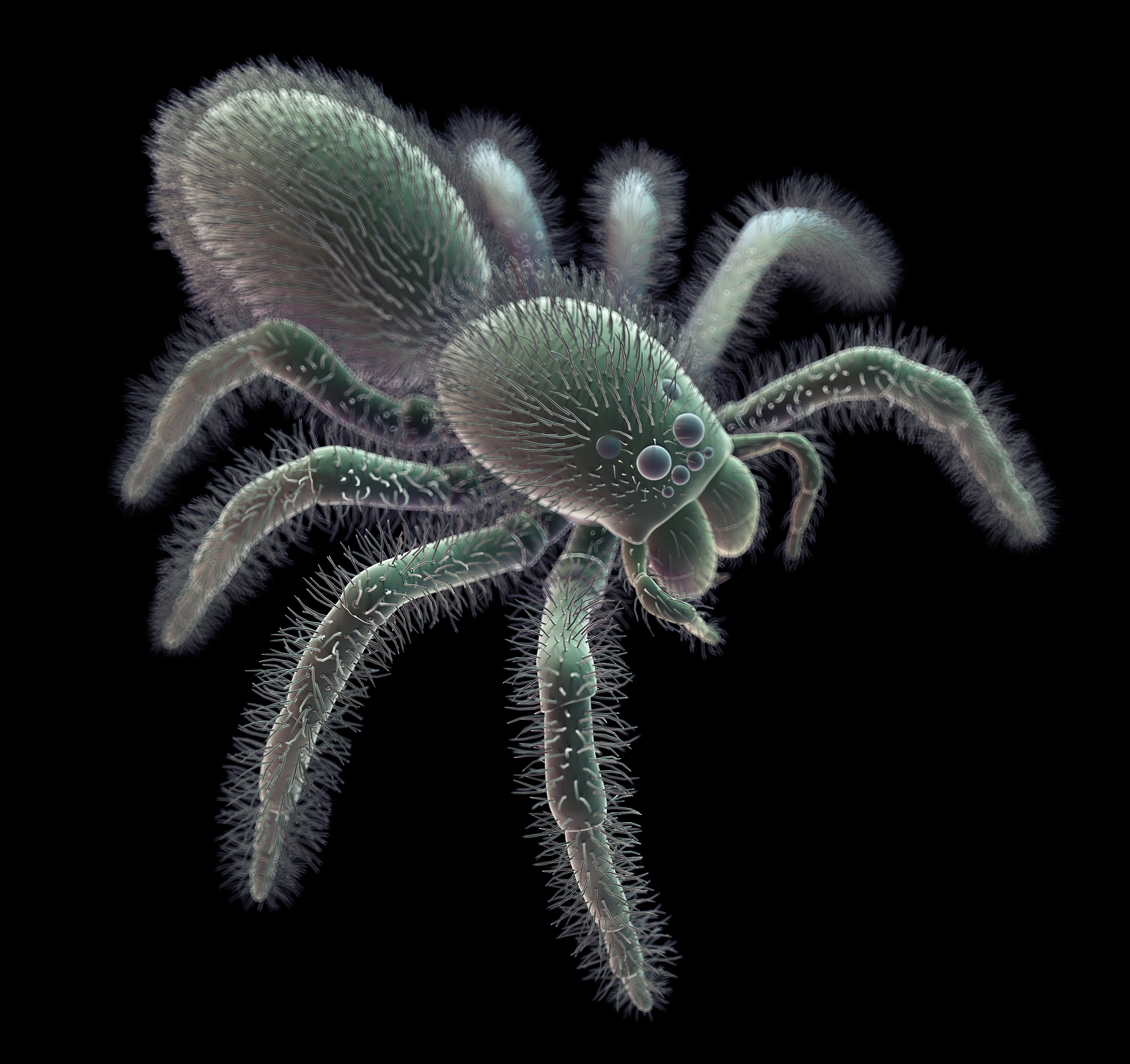 翻译：”’可能有益的寄主微生物‘可能是一个更加精确的描述，我们将在全文中更改这部分的描述“为中文