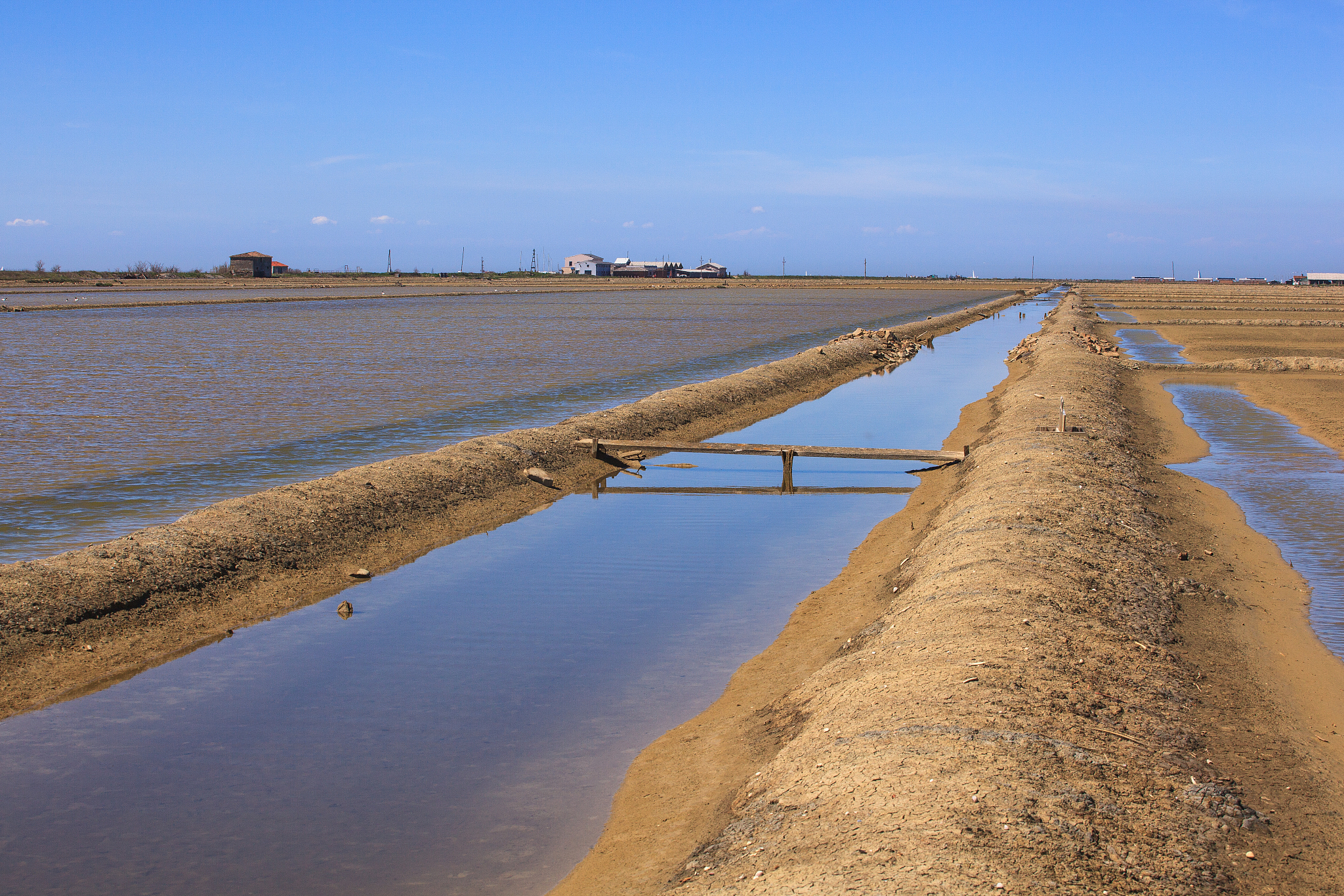 书是知识的海洋，盐是海的结晶，知识是什么？
