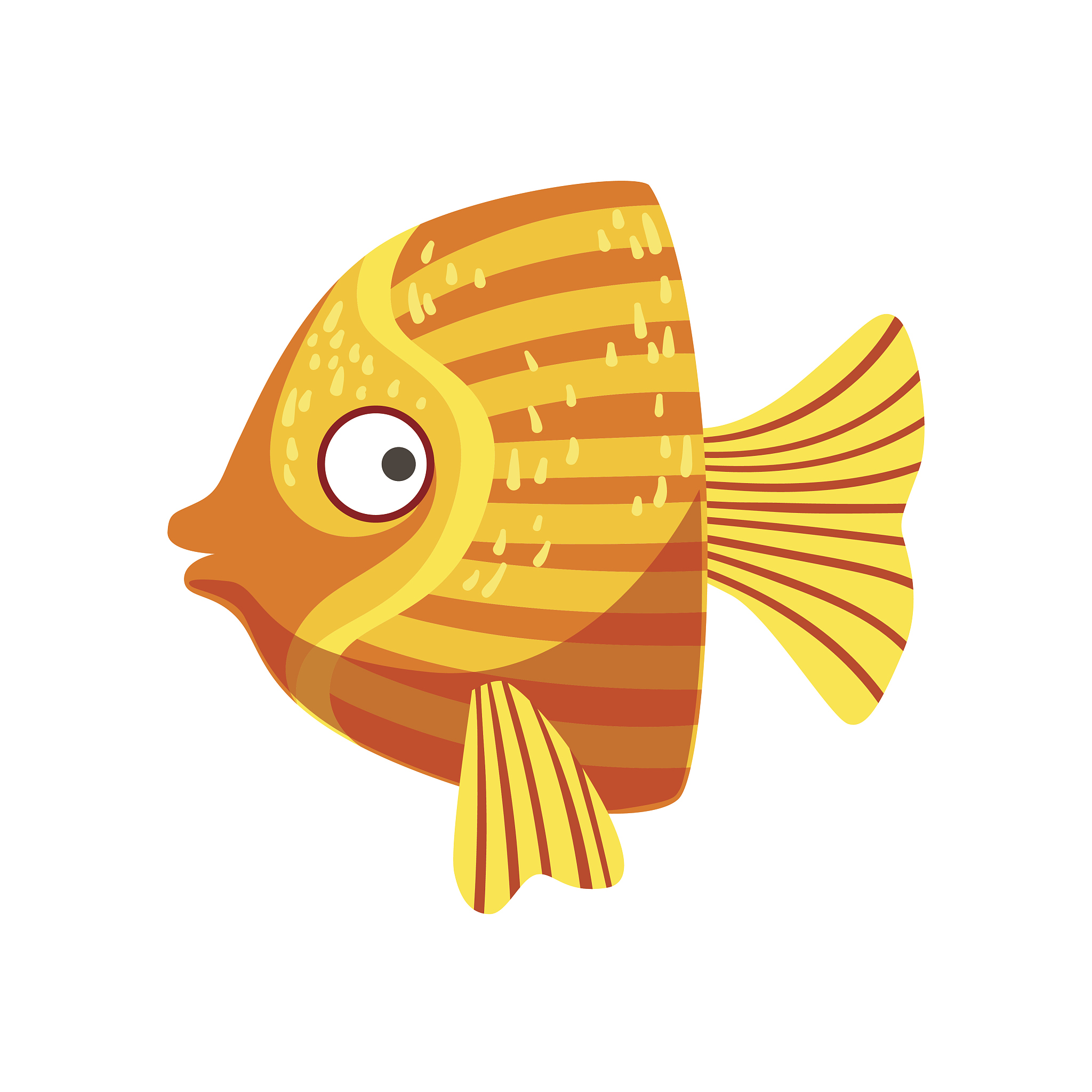 鱼类和哺乳动物心脏位置对比：优缺点分析