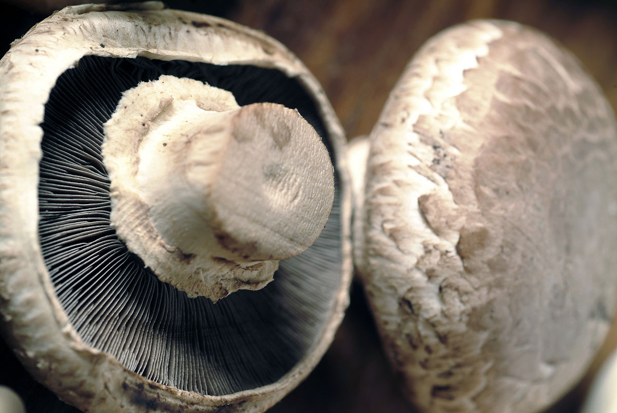 营养师营销标题最近吃海鲜买小日子的食品大家一定要注意了