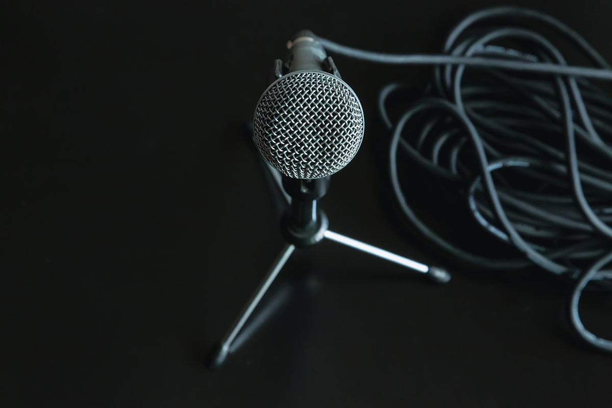 Karaoke Speaker vs. Microphone: What's the Difference?