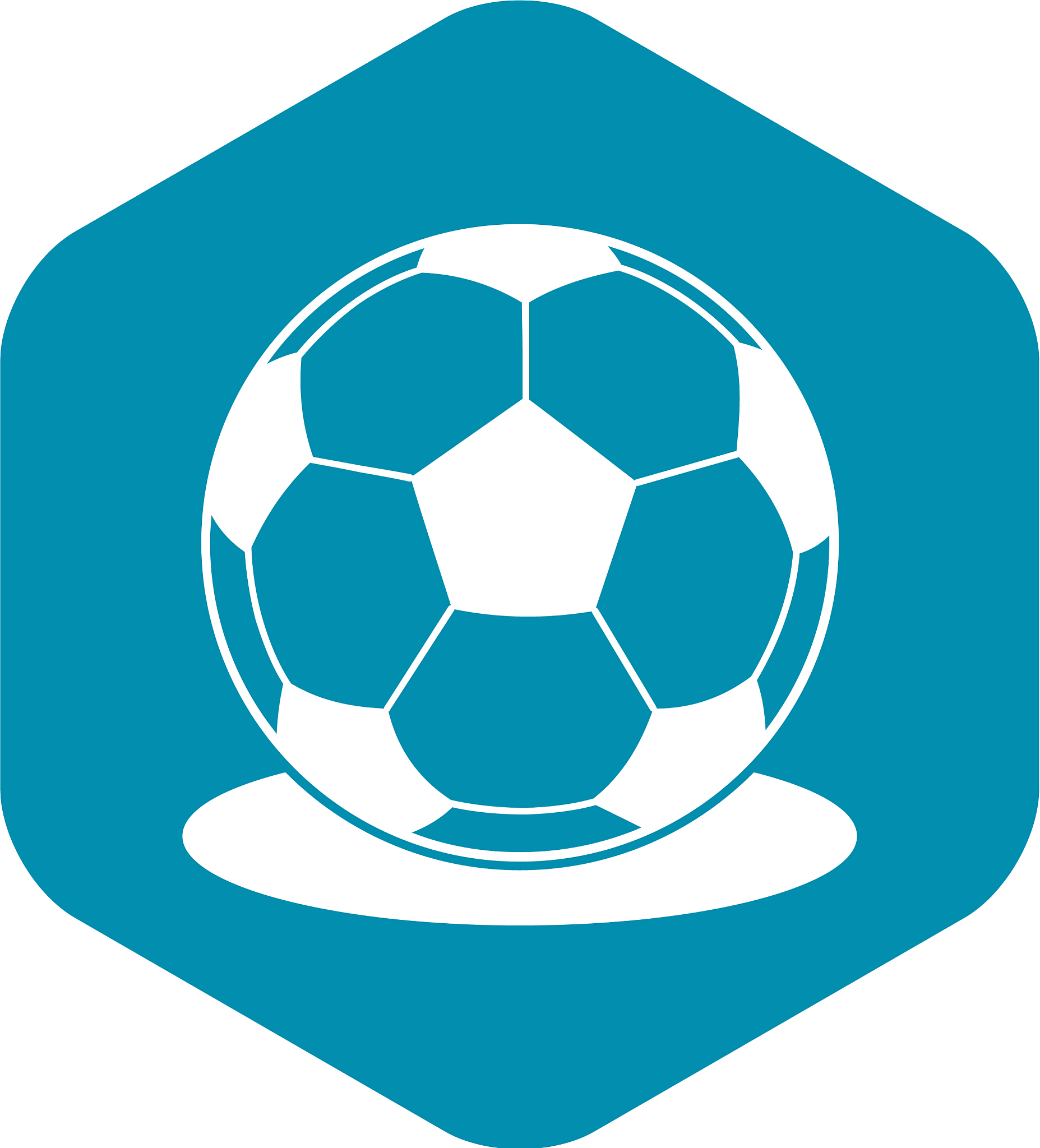 soccer ball icon simple style