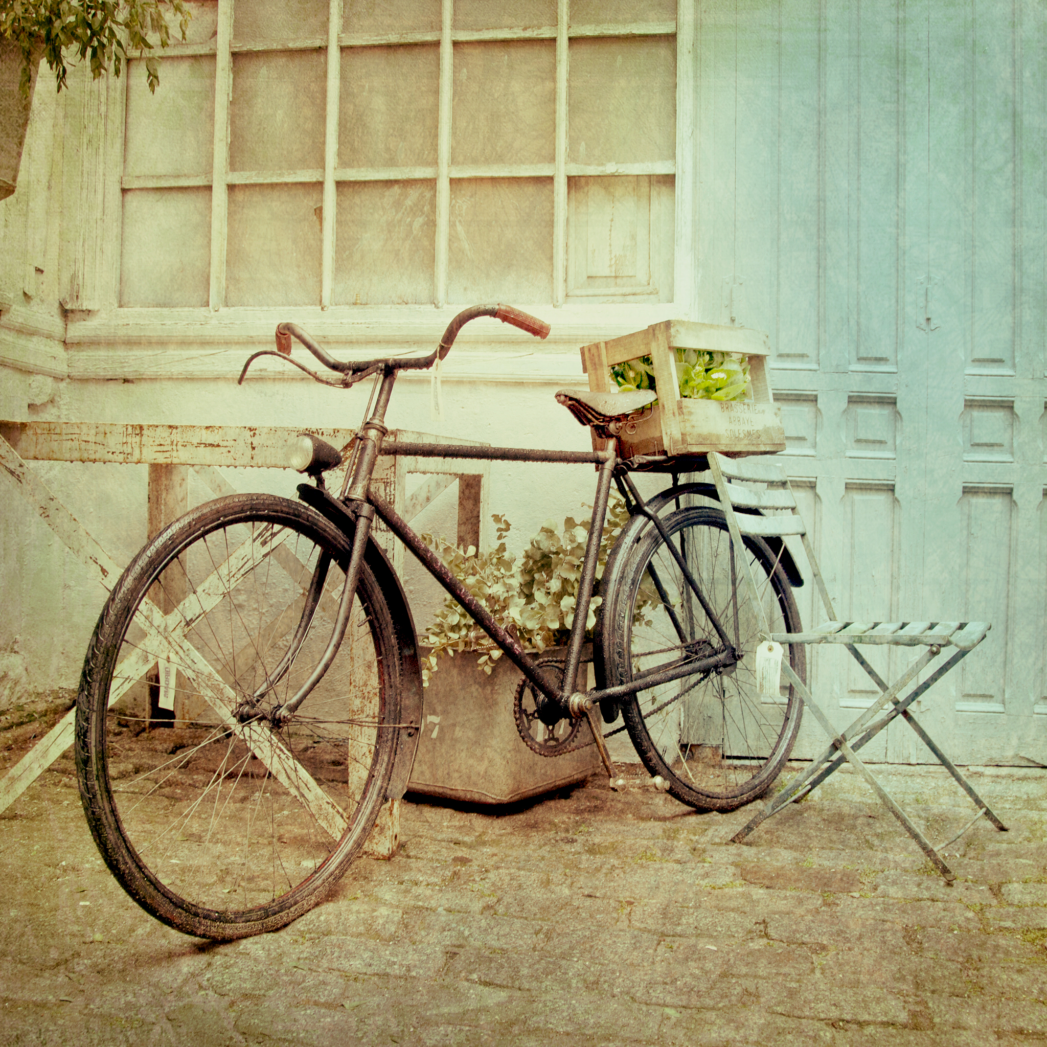 vintage bike