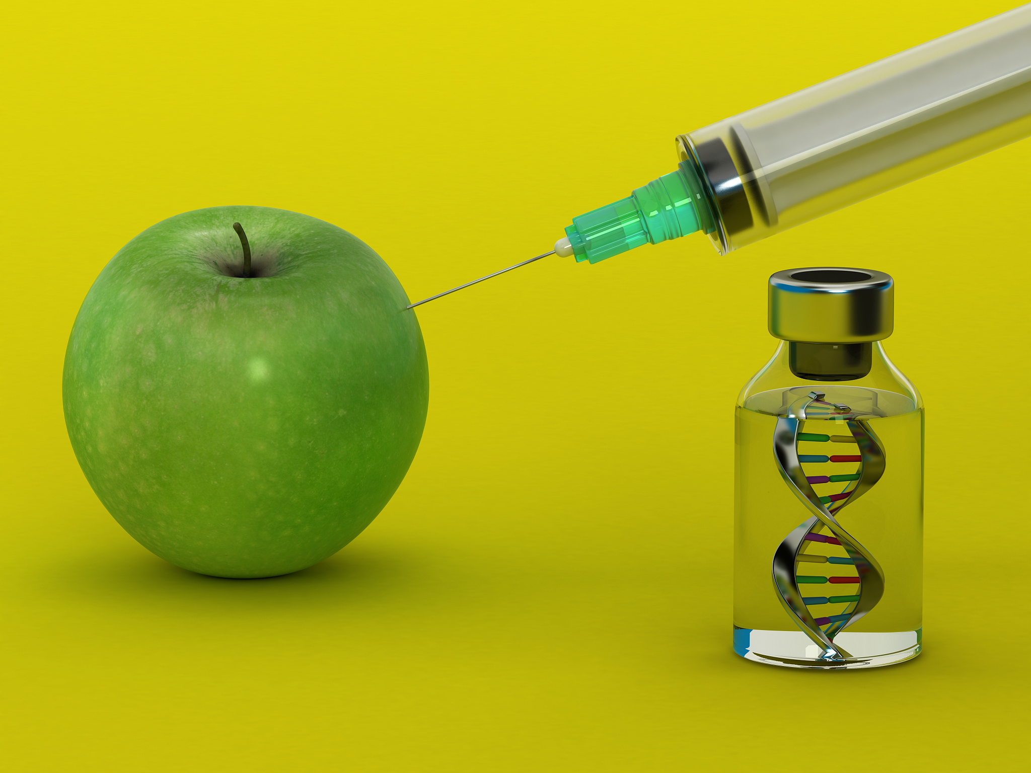 同源二聚体：结构、功能和生物学意义