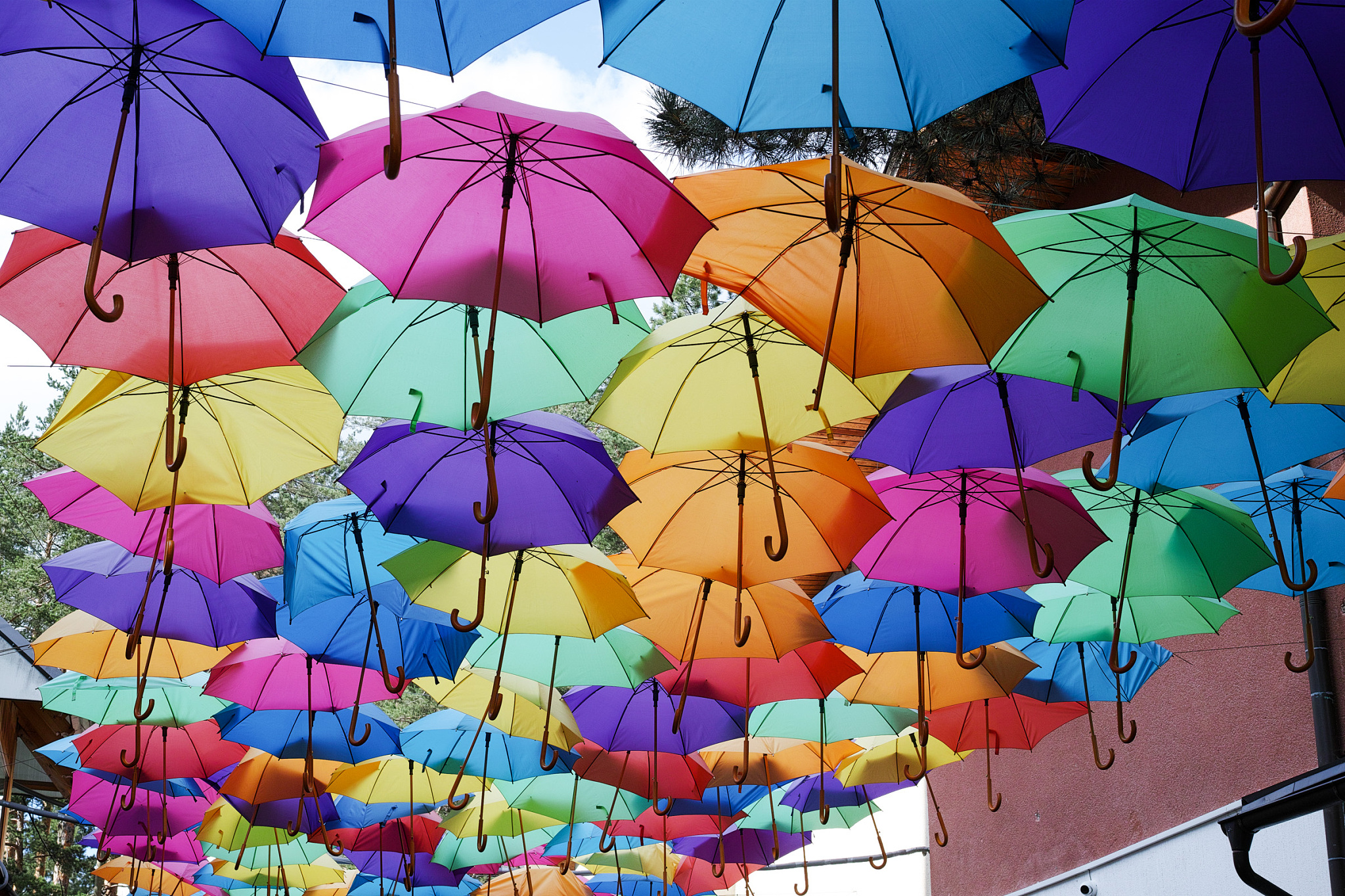 view of color umbrellas installation