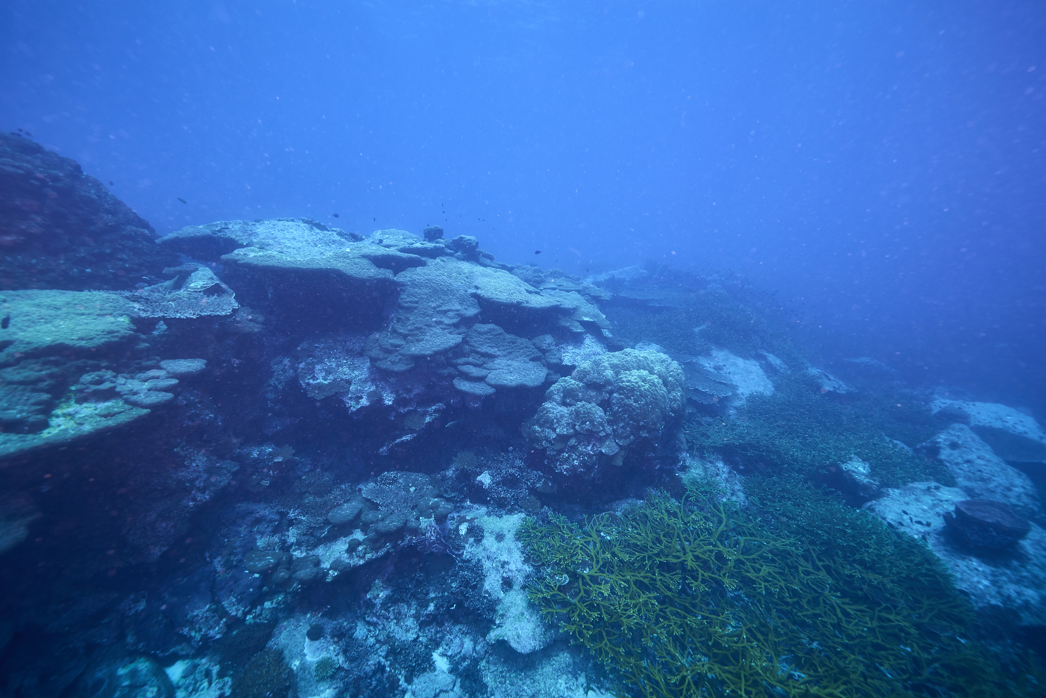 underwater