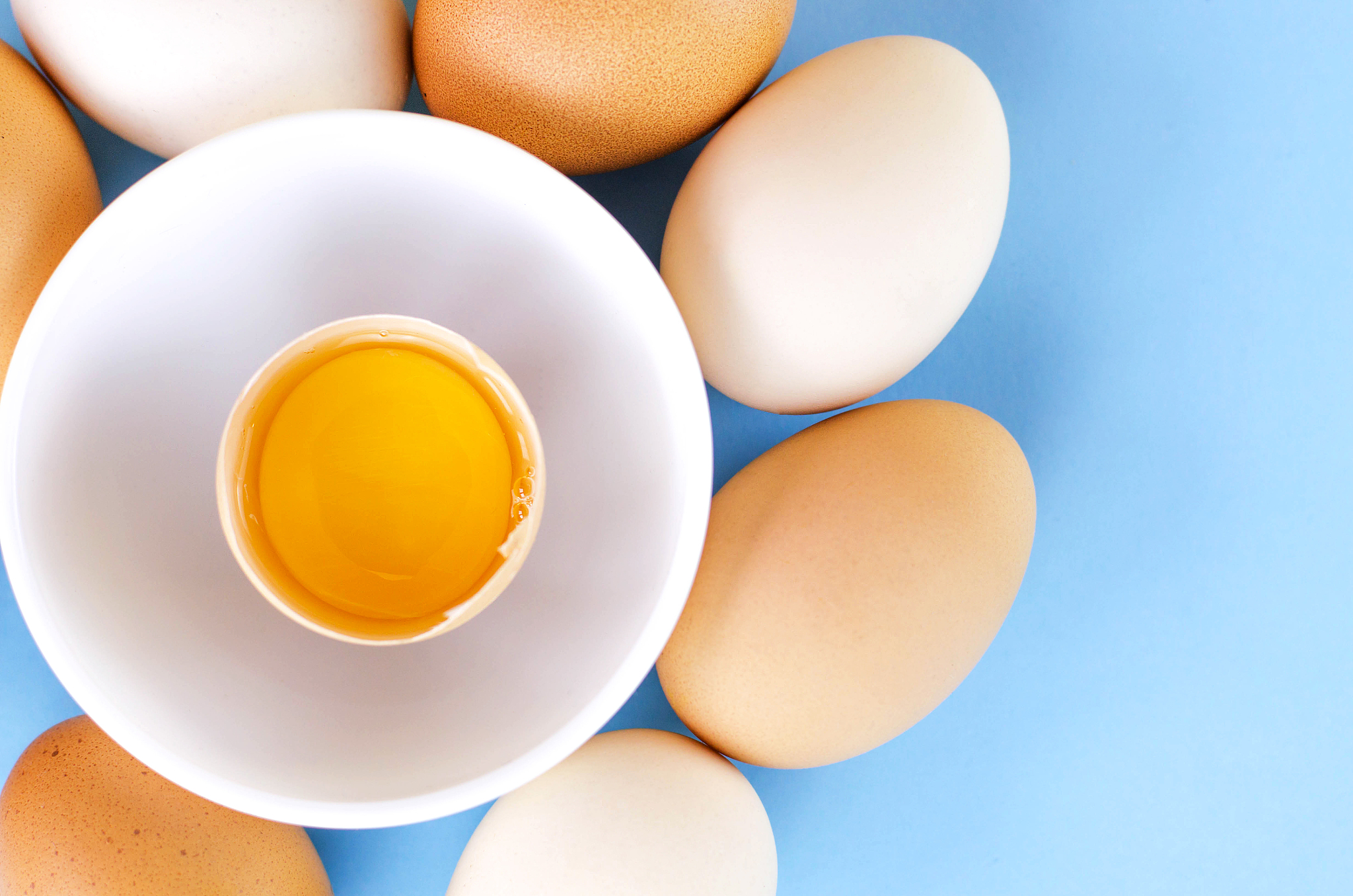 broken and whole chicken eggs on a blue background.
