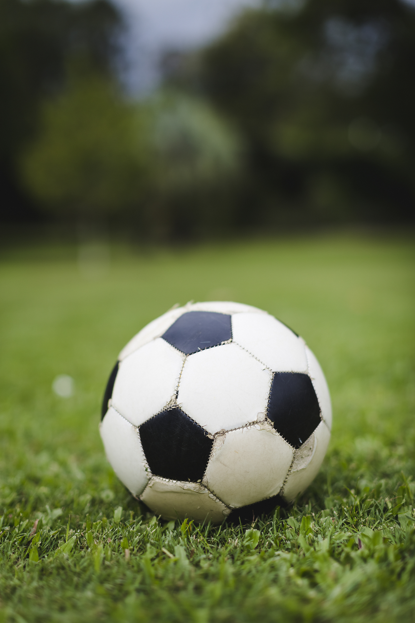 soccer ball