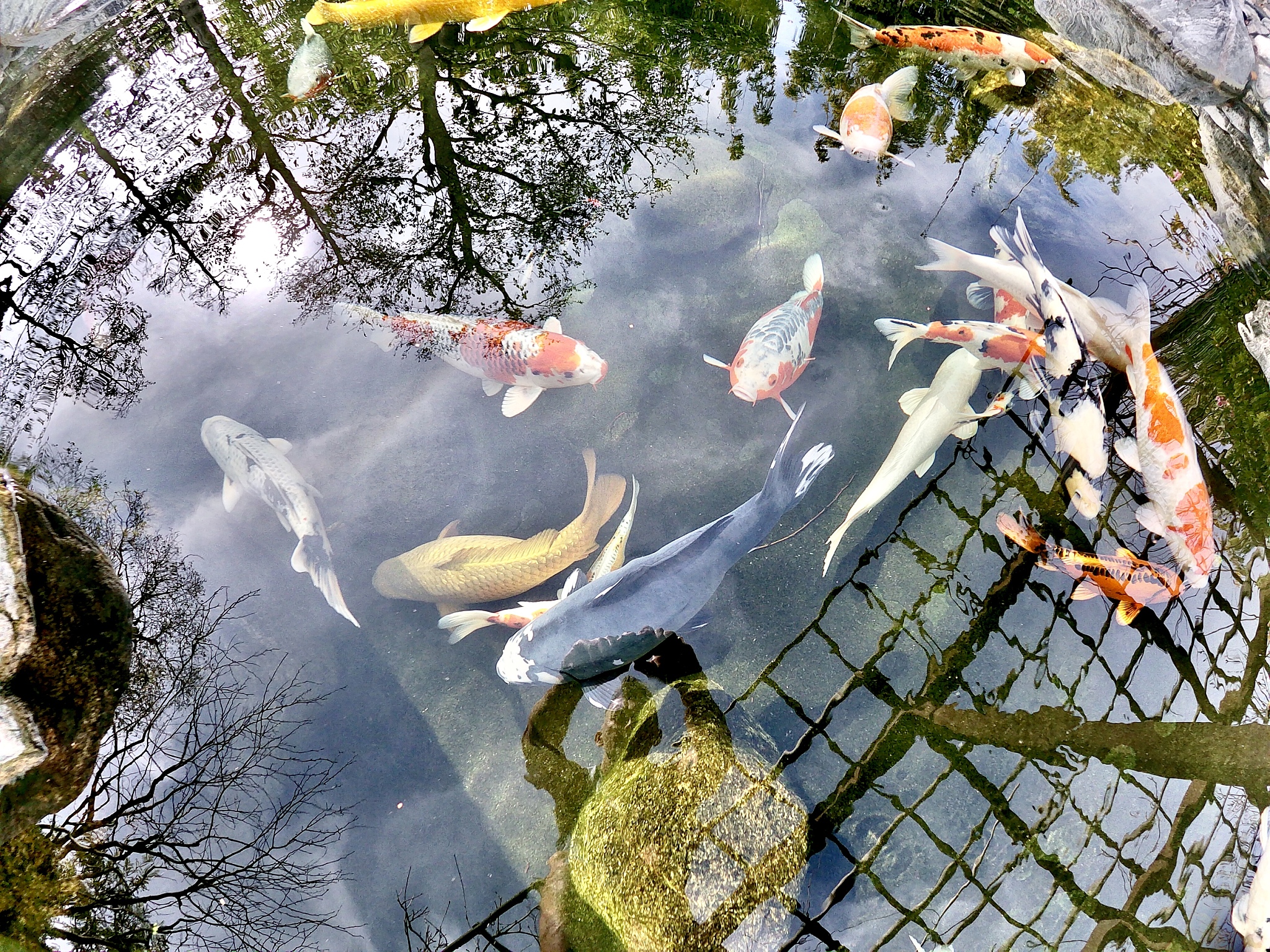 癸亥代表的事物列举100个