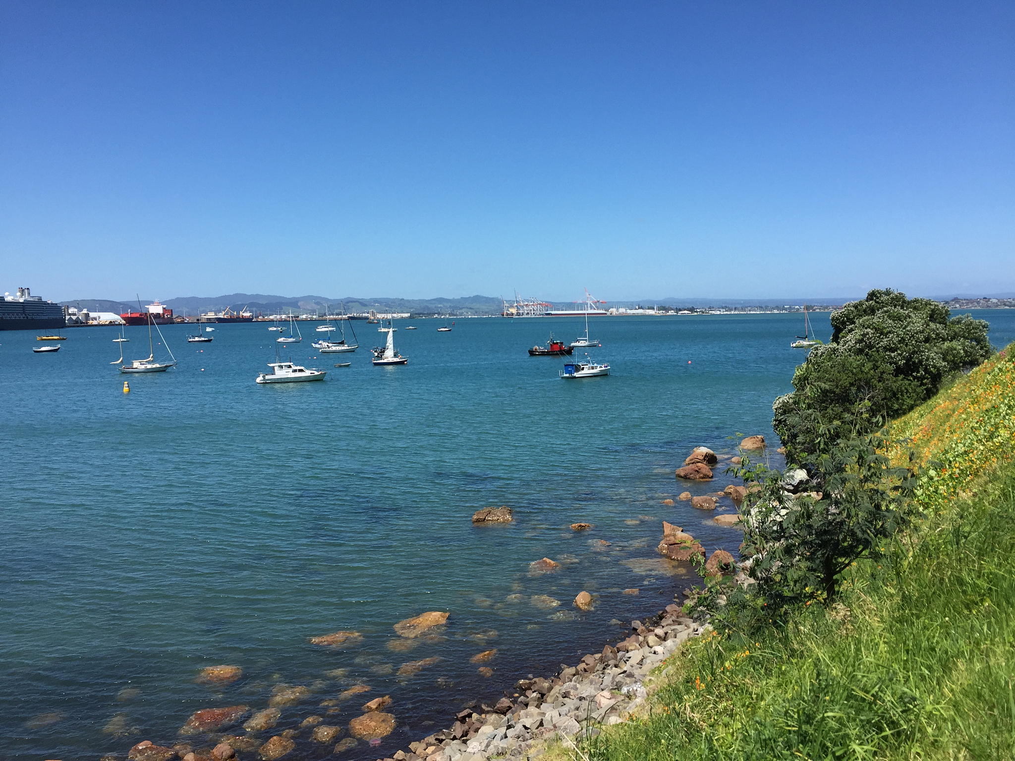 mount maunganui beach