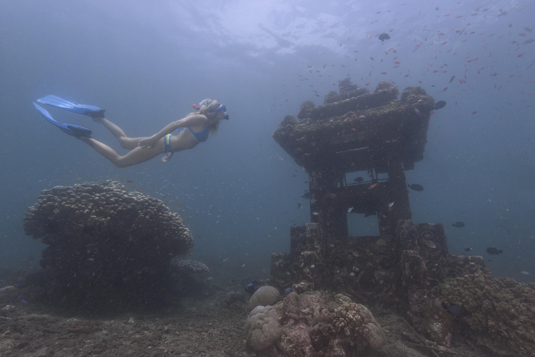 indonesia, bali, woman snorkeling in the indian ocean