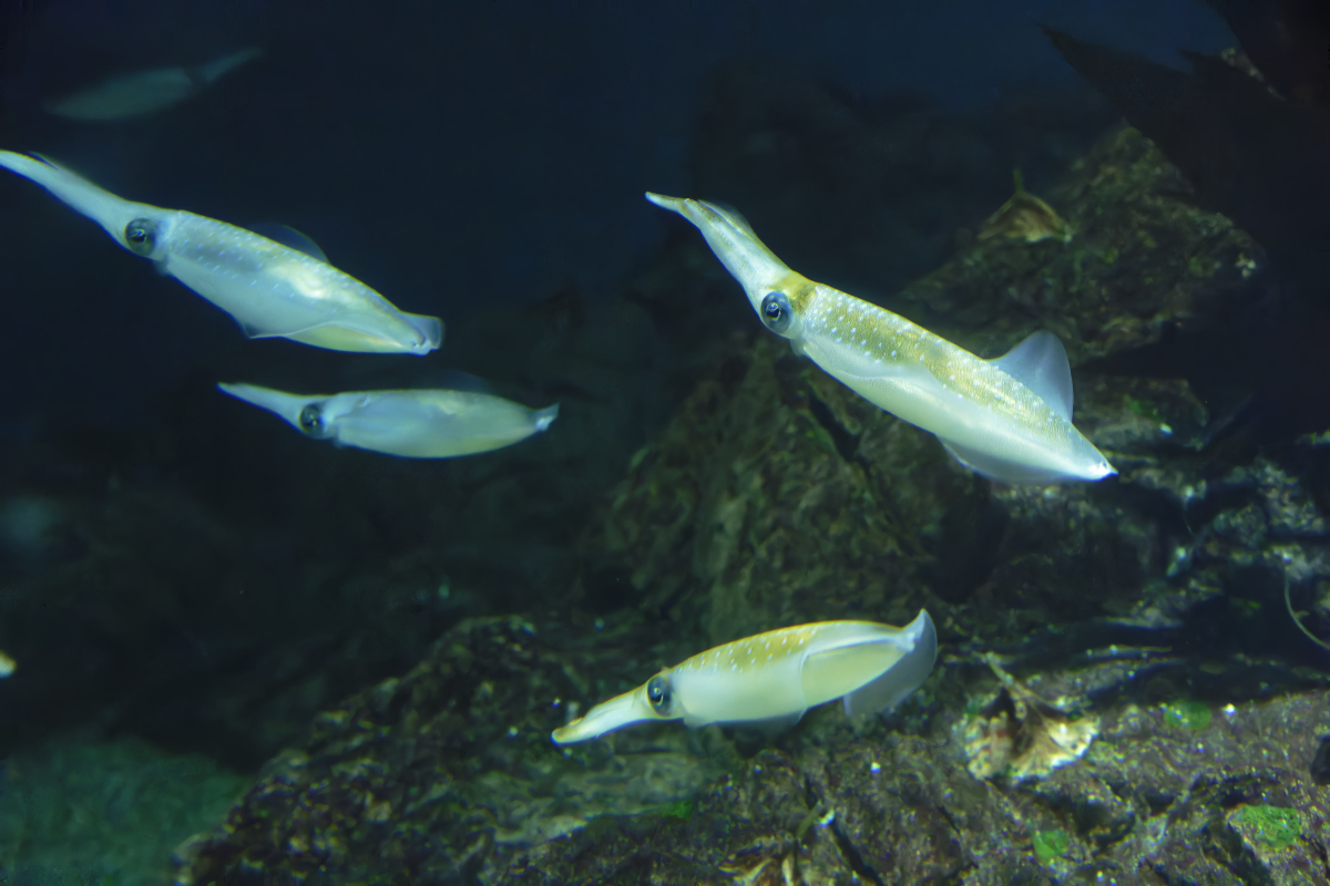 海洋化工技术专业好吗