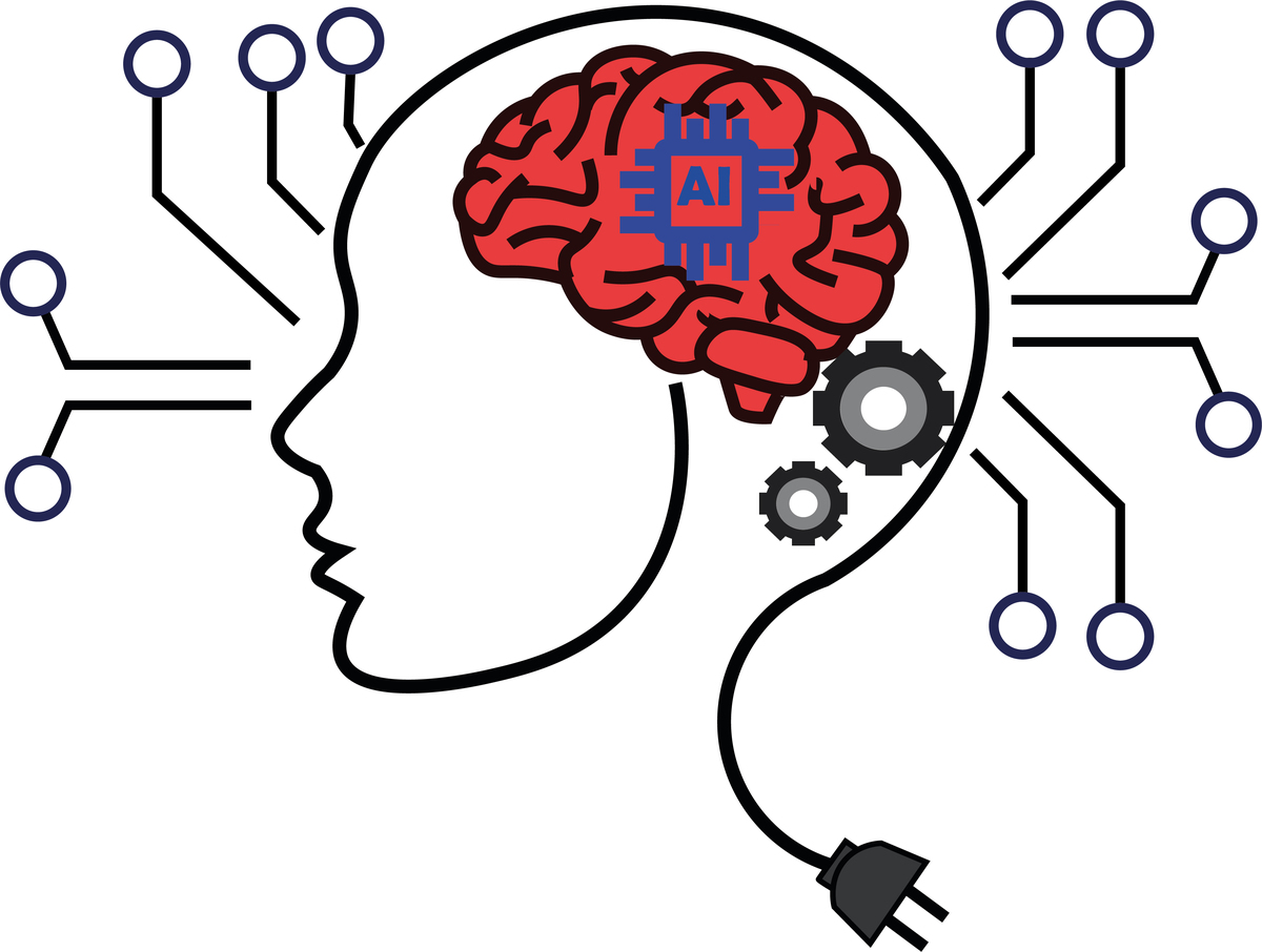 男性和女性大脑连接差异：可能解释两性技能差异
