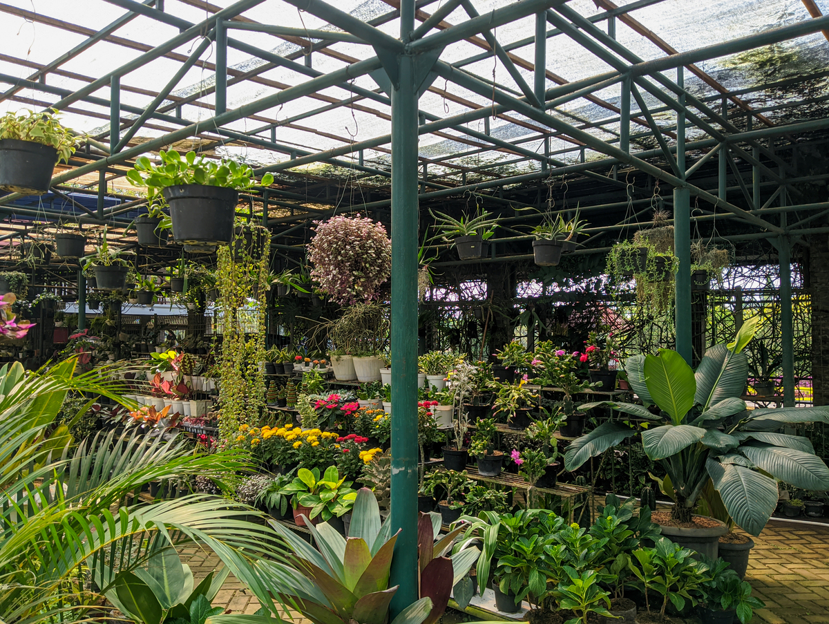 在美国，都市农场、社区花园、商业花园允许在城市的大部分区域经营吗？