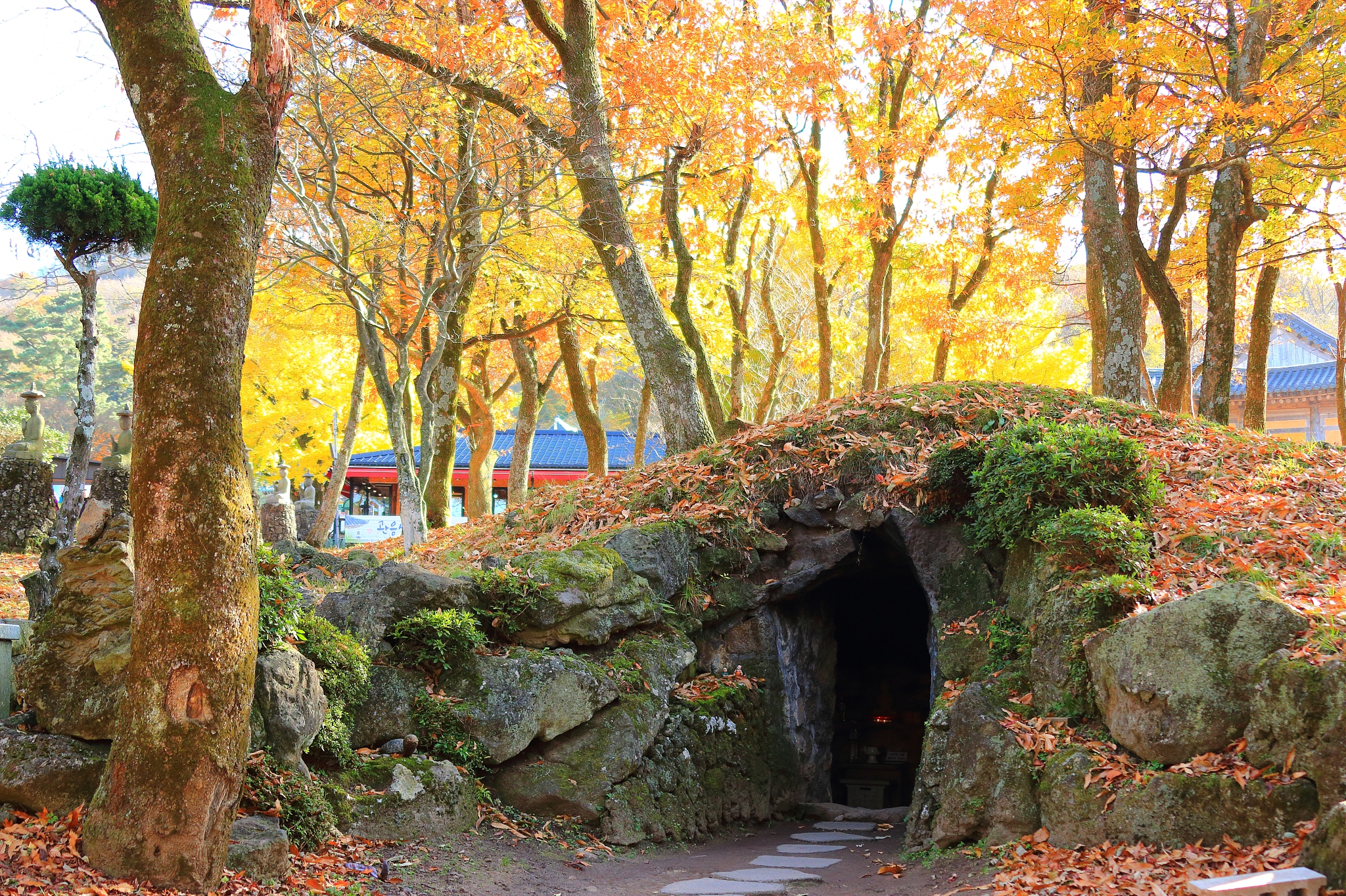 gwaneumsa, autumn, autumn leaves,