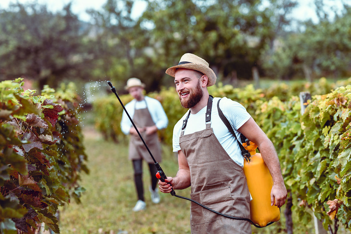 农药瓶、容器回收利用管理办法哪里下载