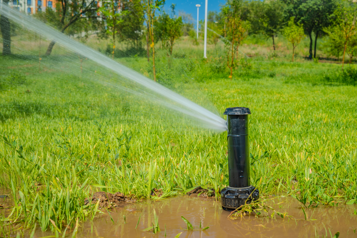 智能诱虫器：高效精准的虫害防控解决方案