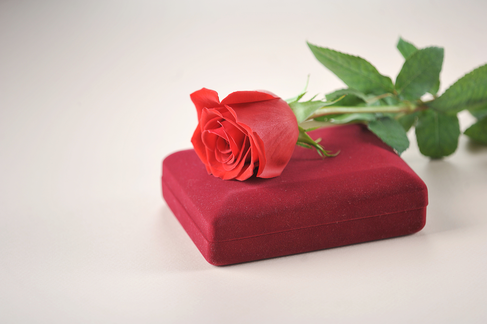 恋爱十周年礼物创意：浪漫惊喜，用心表达爱意