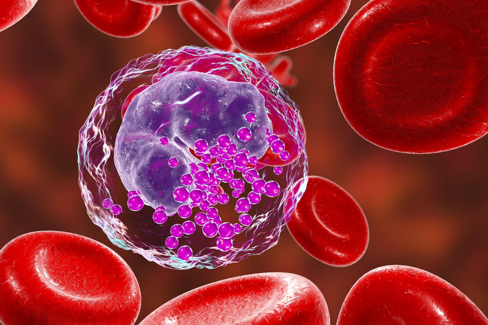 血液学与肿瘤学期刊 (J Hematol Oncol): 研究范围与投稿指南