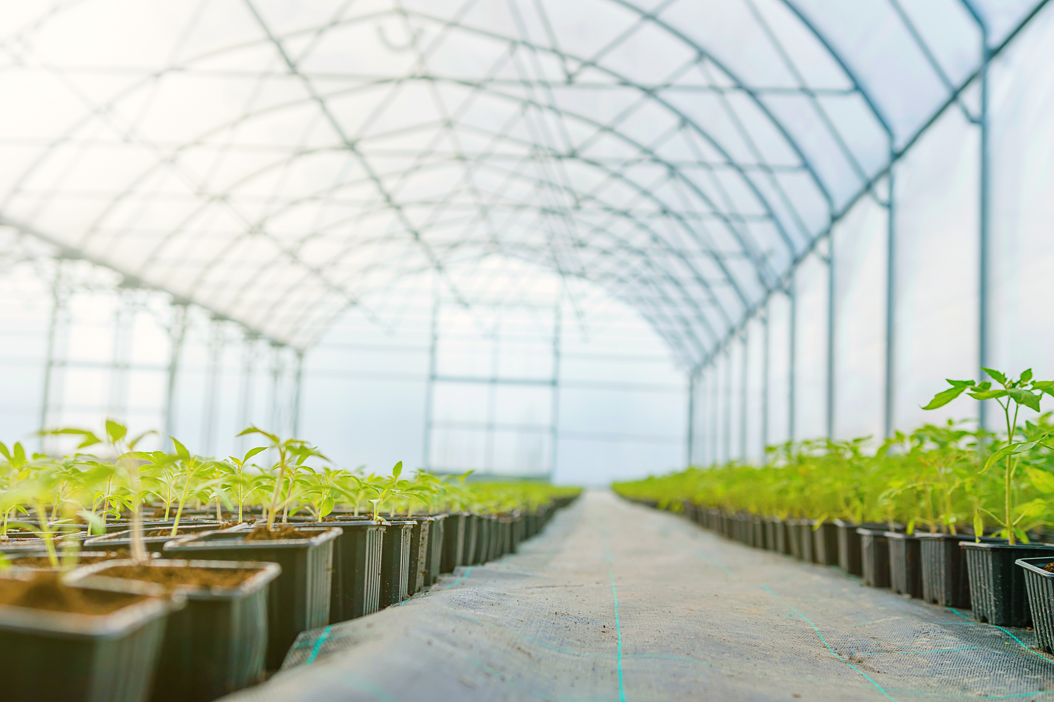 四川省金堂县职业高级中学观光农业经营专业的发展前景