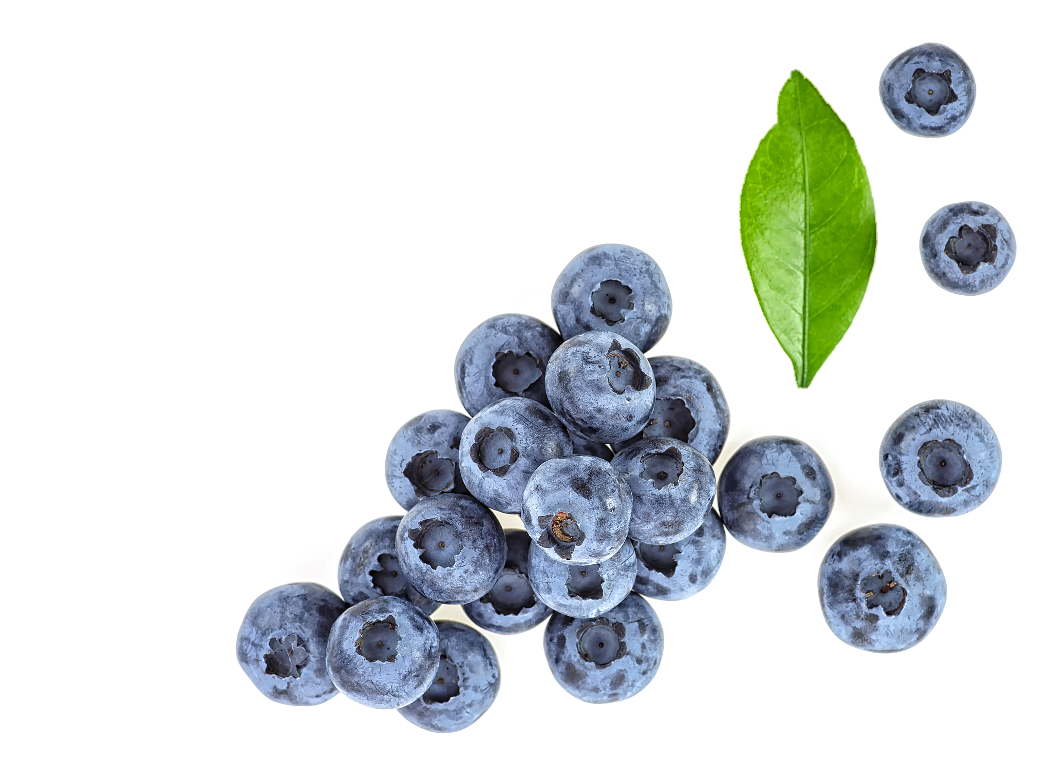 蓝莓叶黄素的5大功效：抗氧化、护眼、改善记忆力、降血糖、增强免疫力